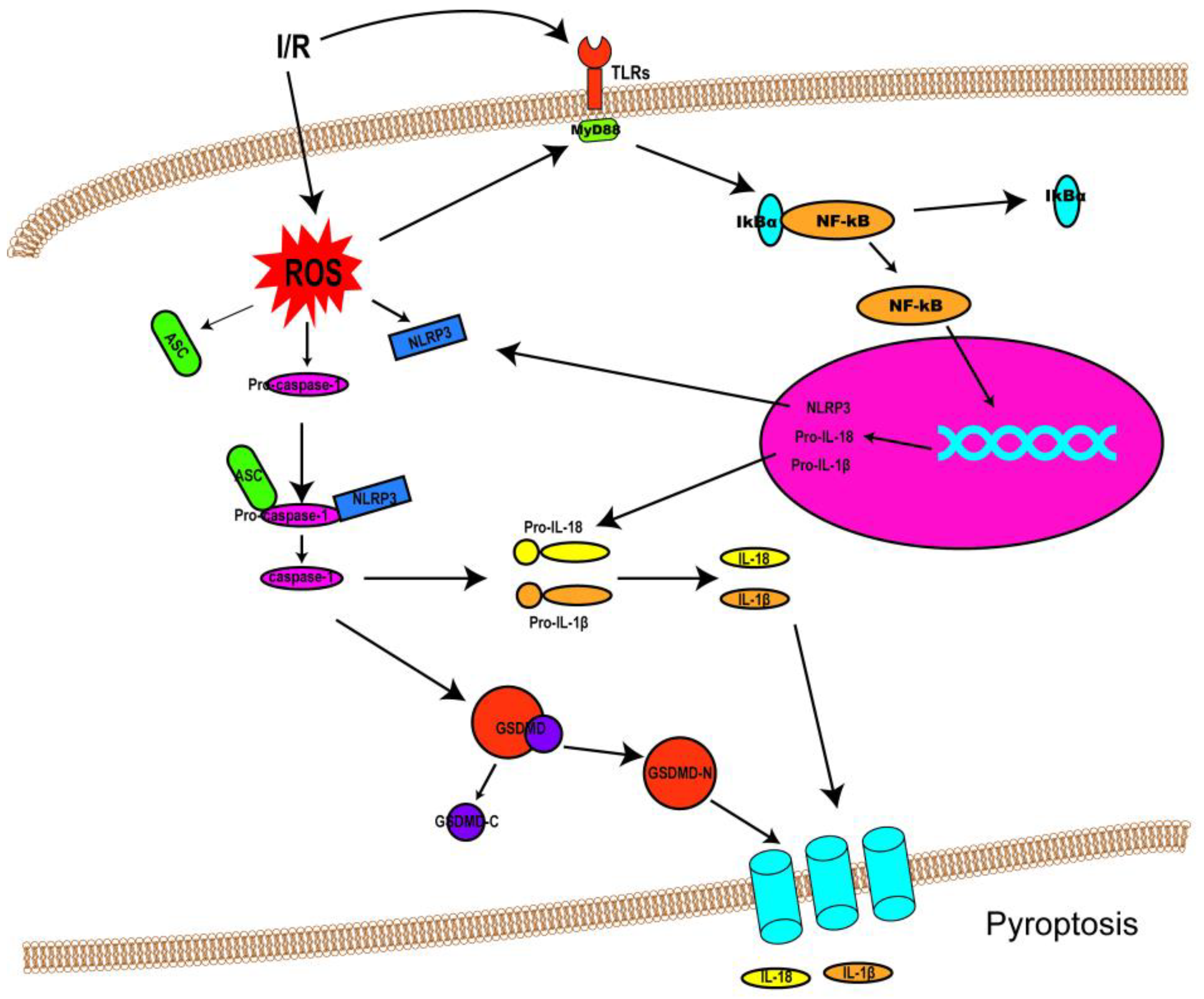 Biomolecules 12 01625 g002