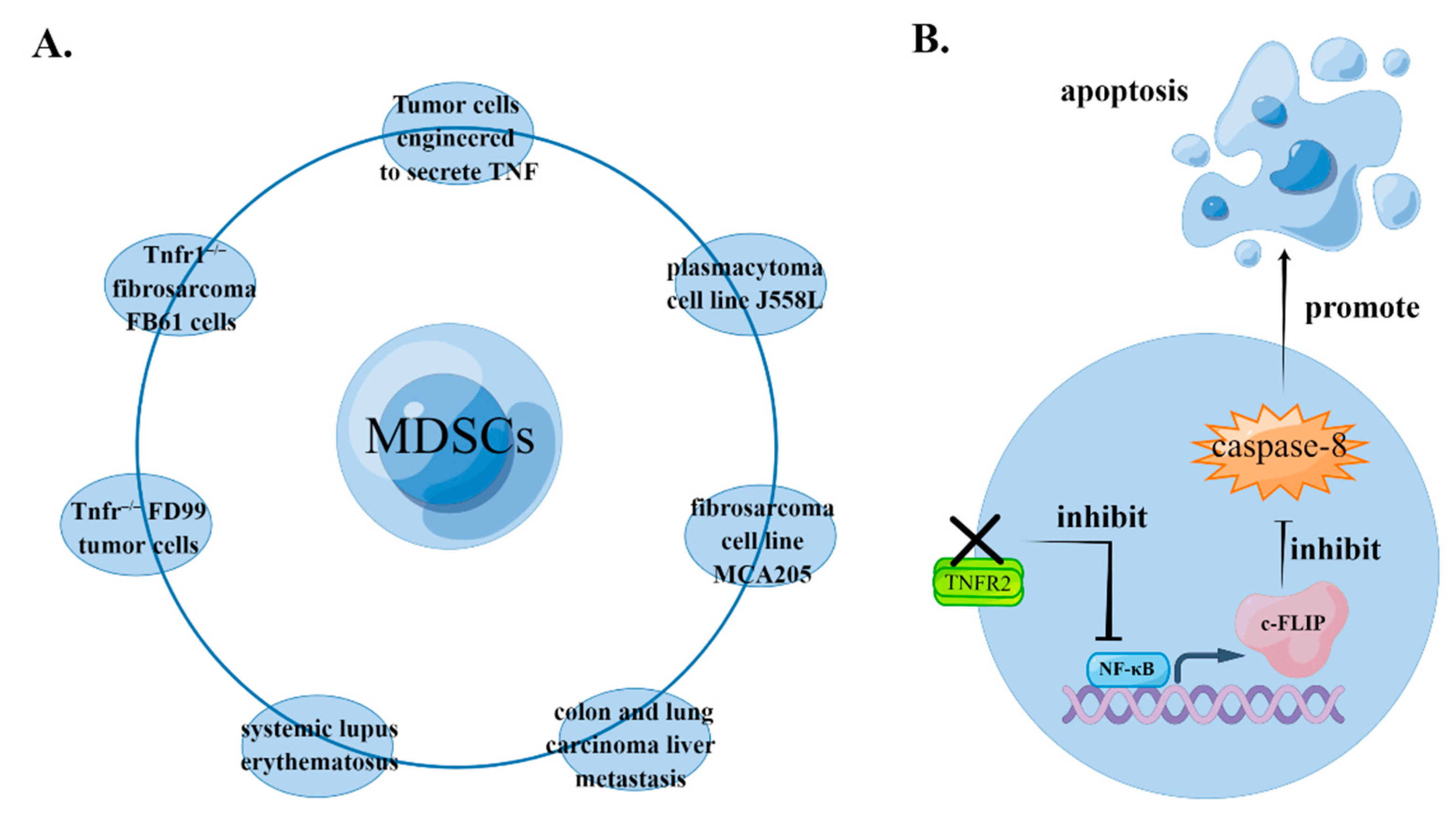 Biomolecules 12 01627 g002 Biomolecules 12 01627 g002