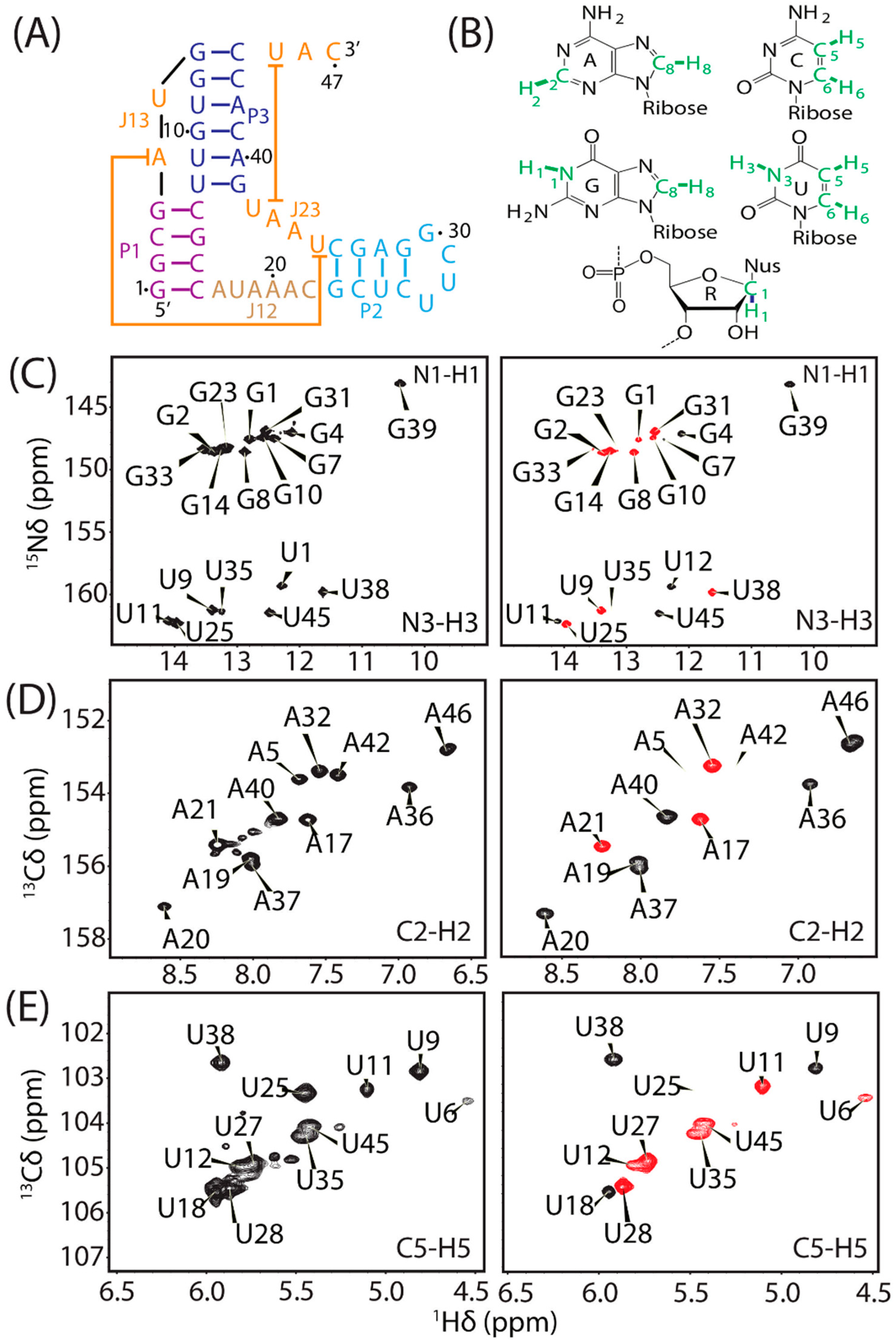 Biomolecules 12 01628 g003