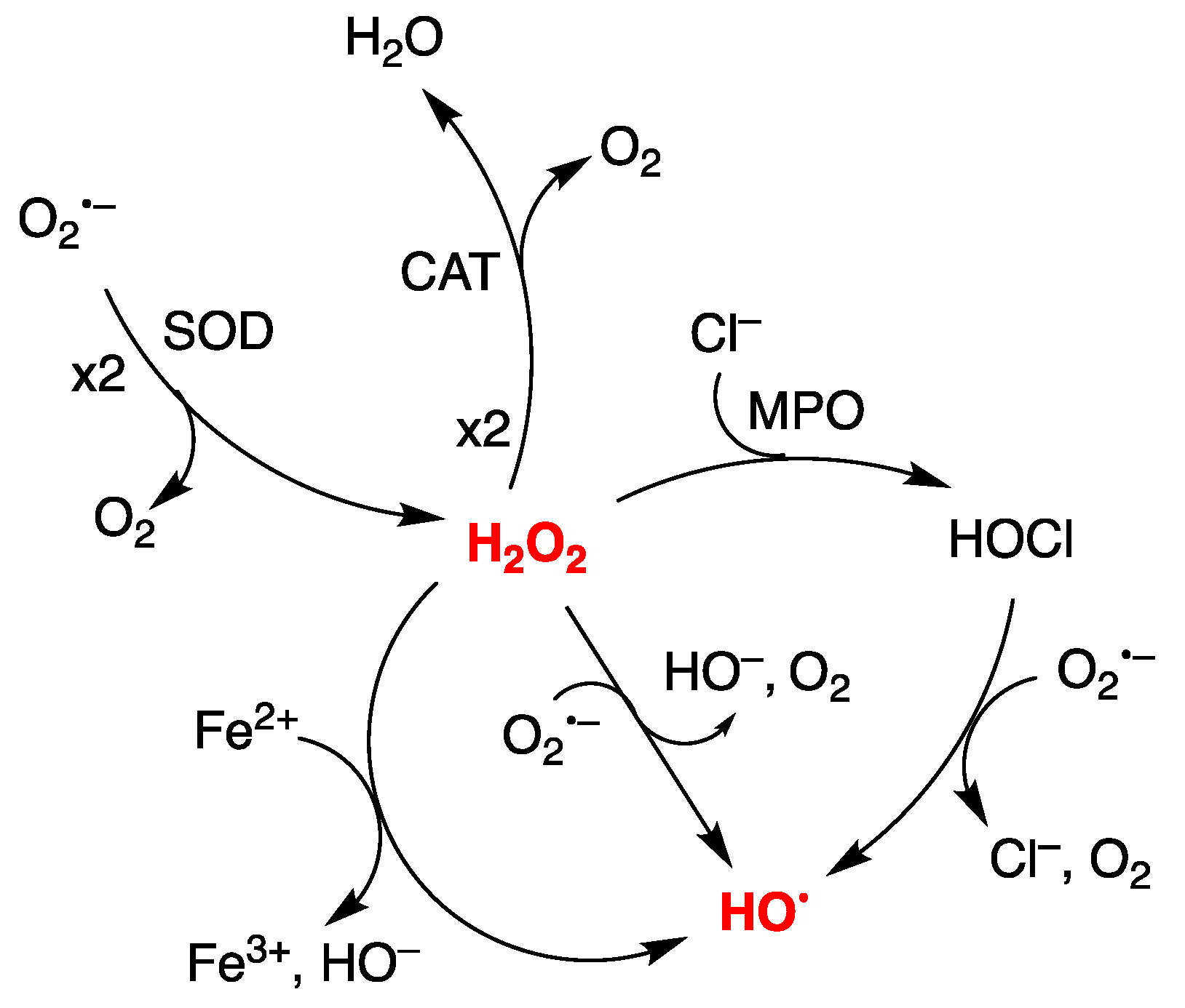 Biomolecules 12 01630 g001