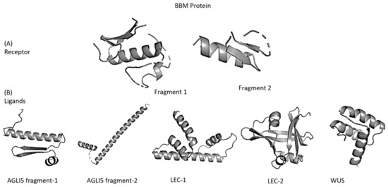 Biomolecules, Free Full-Text