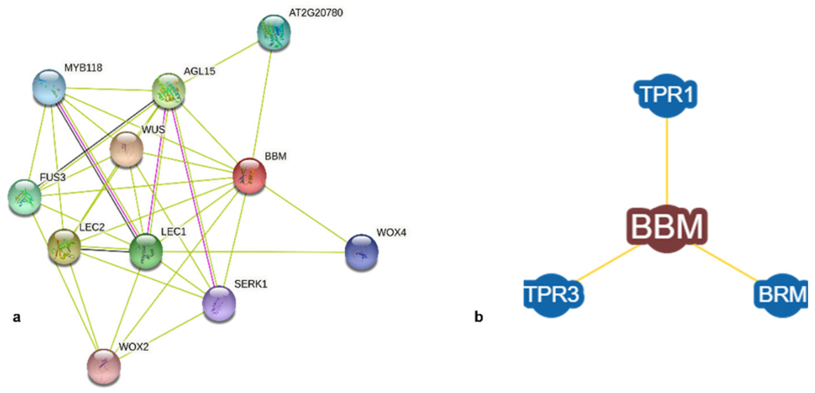 Biomolecules 12 01633 g004 Biomolecules 12 01633 g004