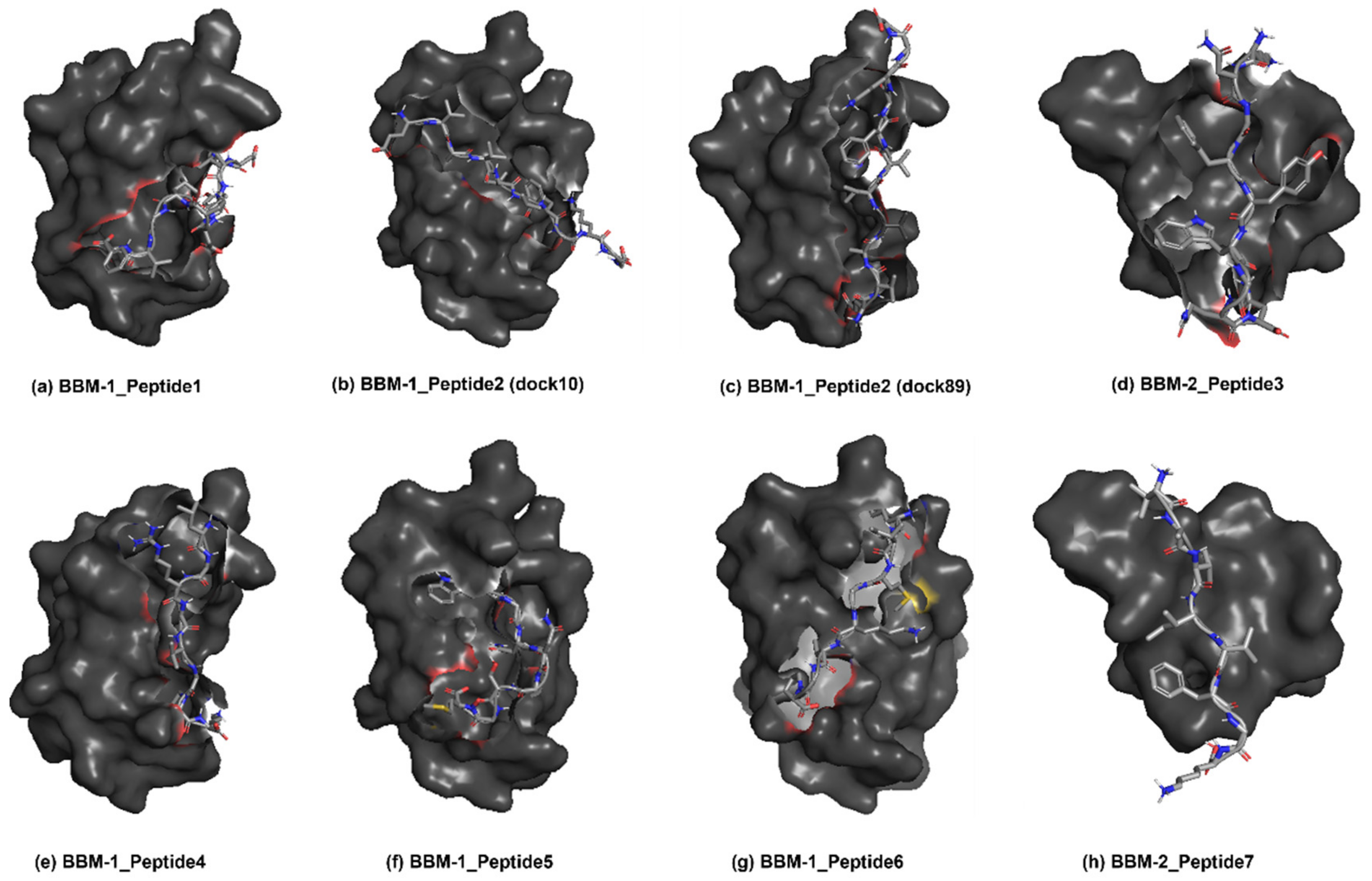 Biomolecules 12 01633 g007 Biomolecules 12 01633 g007