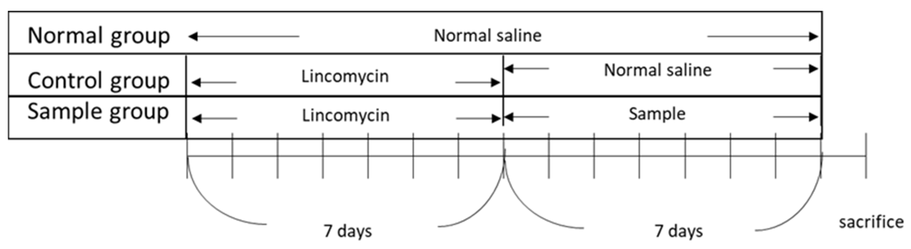 Biomolecules 12 01634 g001