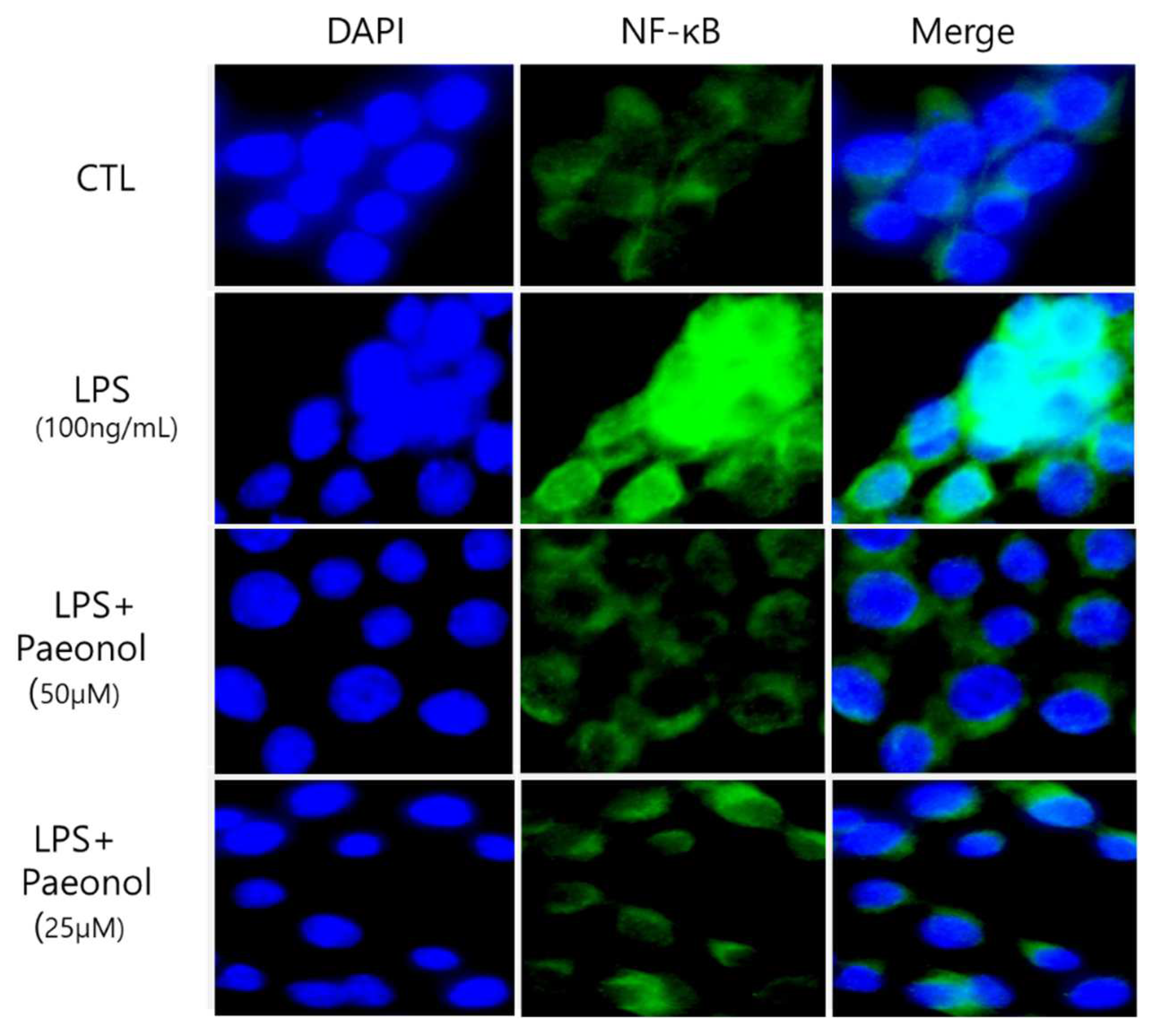 Biomolecules 12 01634 g008