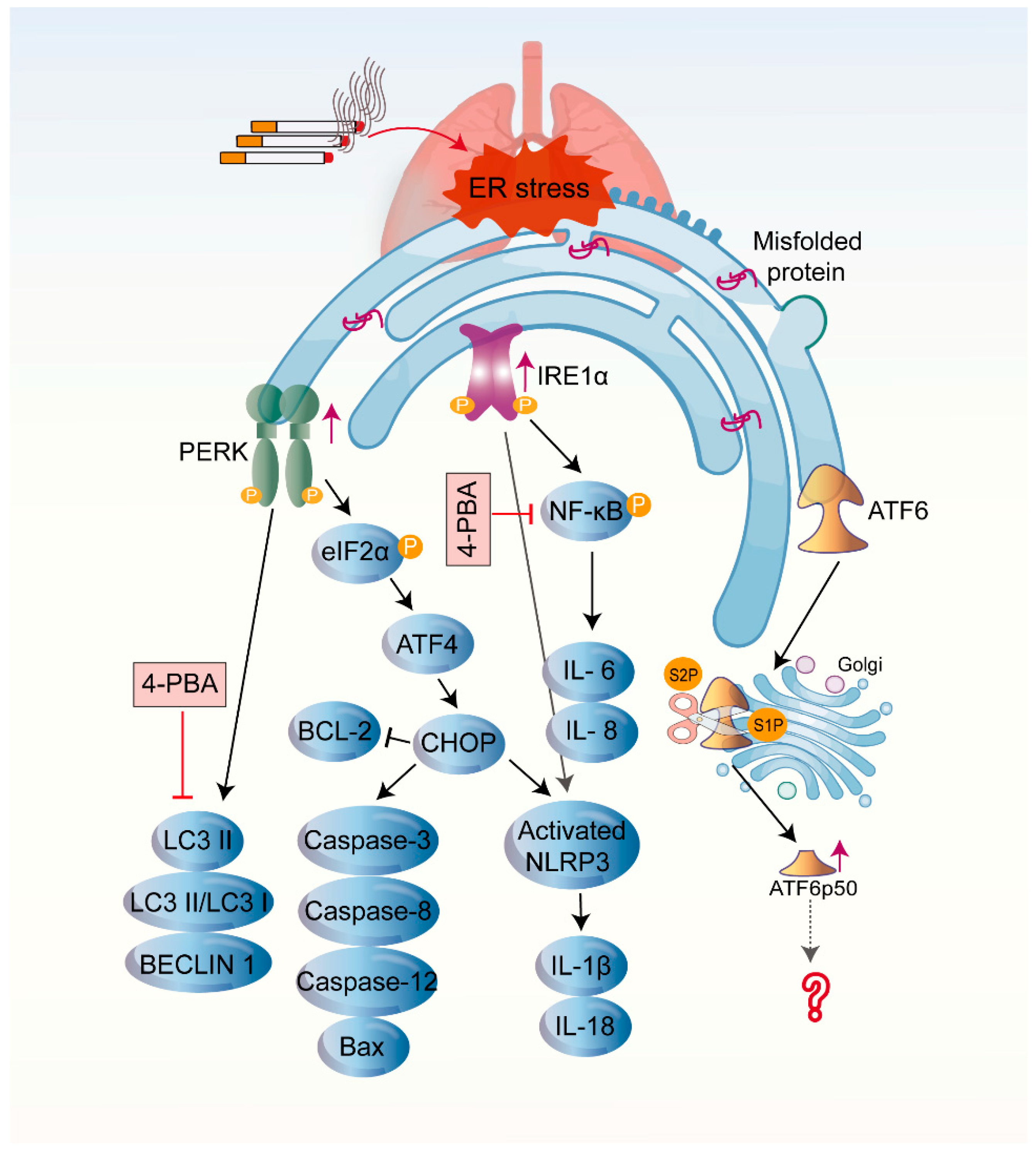 Biomolecules 12 01637 g003 Biomolecules 12 01637 g003