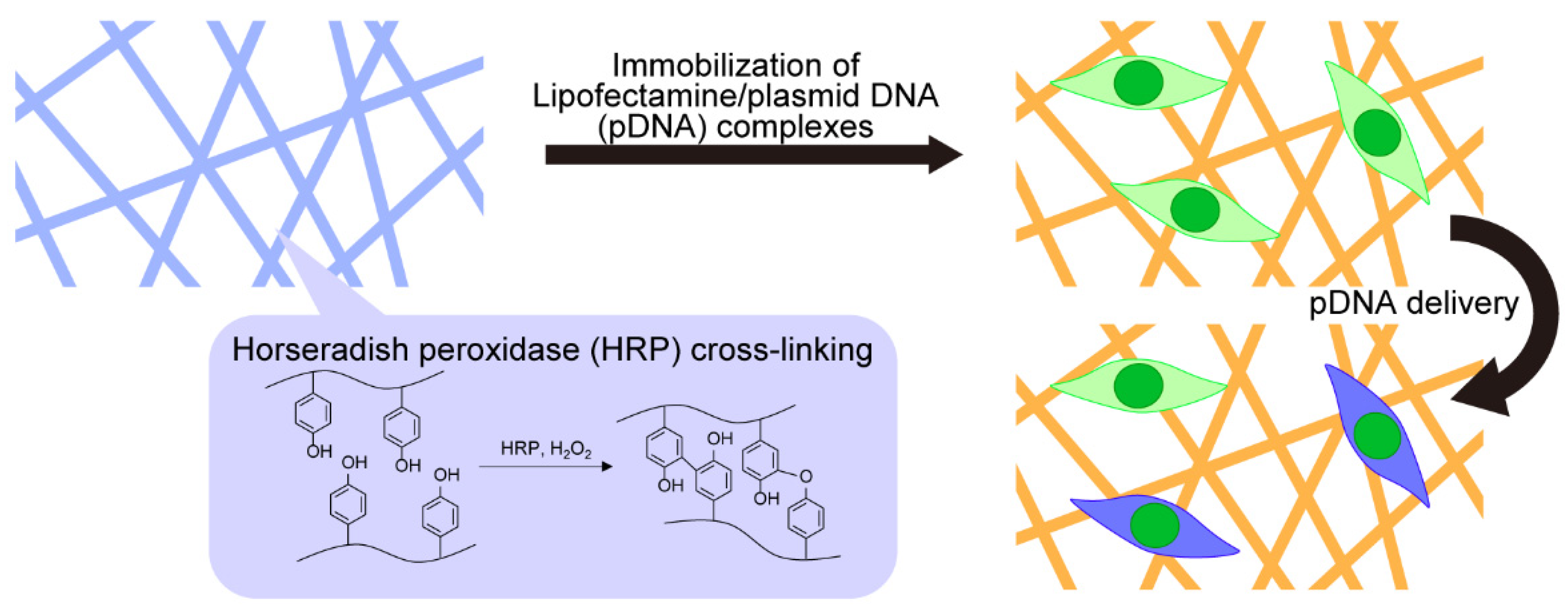 Biomolecules 12 01638 g001 Biomolecules 12 01638 g001