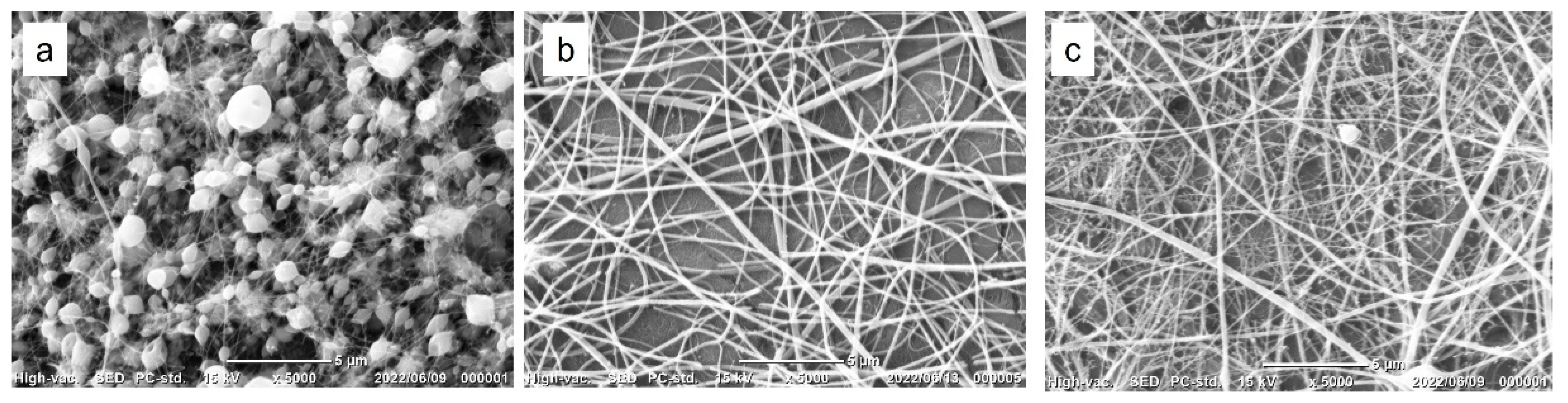 Biomolecules 12 01638 g002 Biomolecules 12 01638 g002