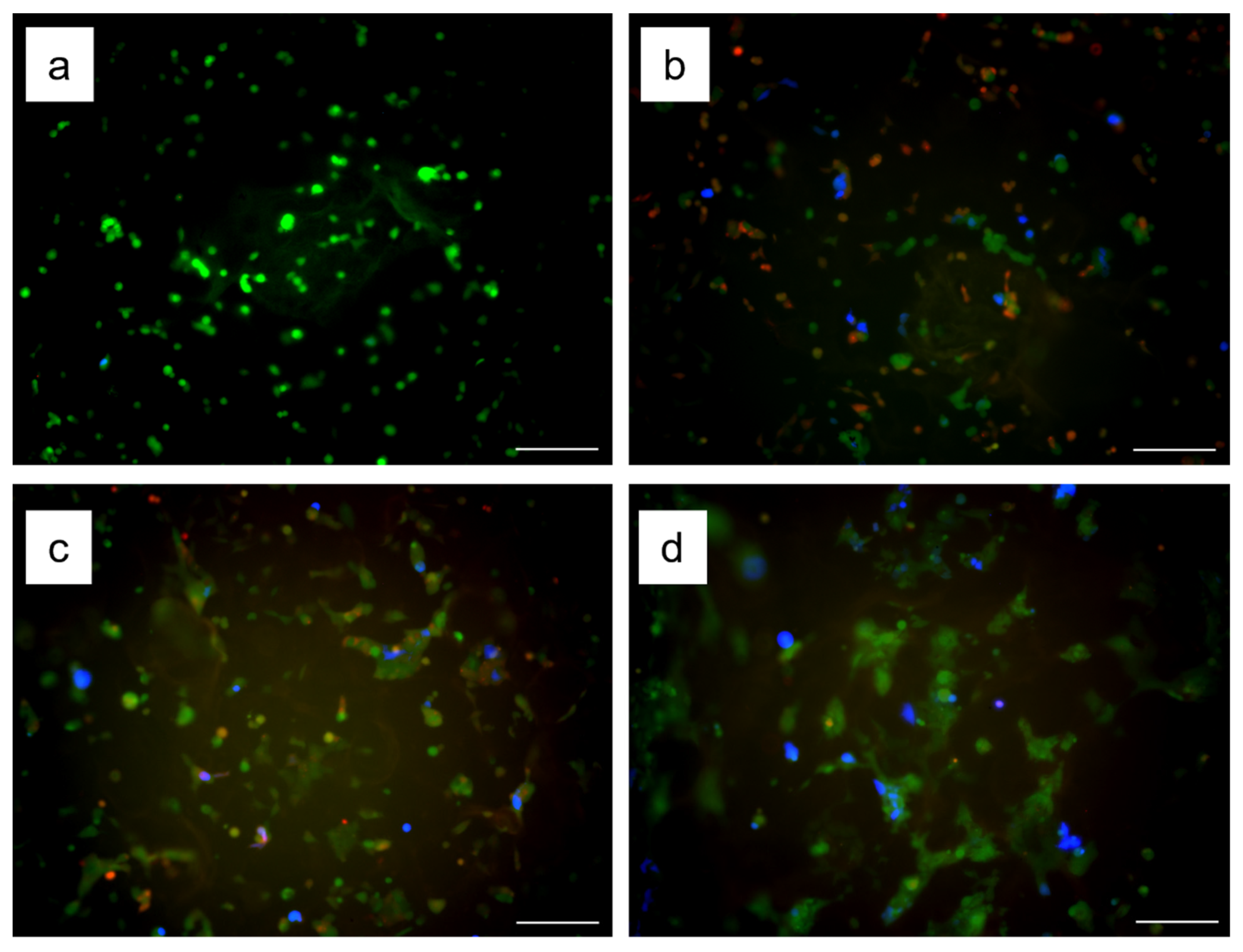 Biomolecules 12 01638 g004 Biomolecules 12 01638 g004