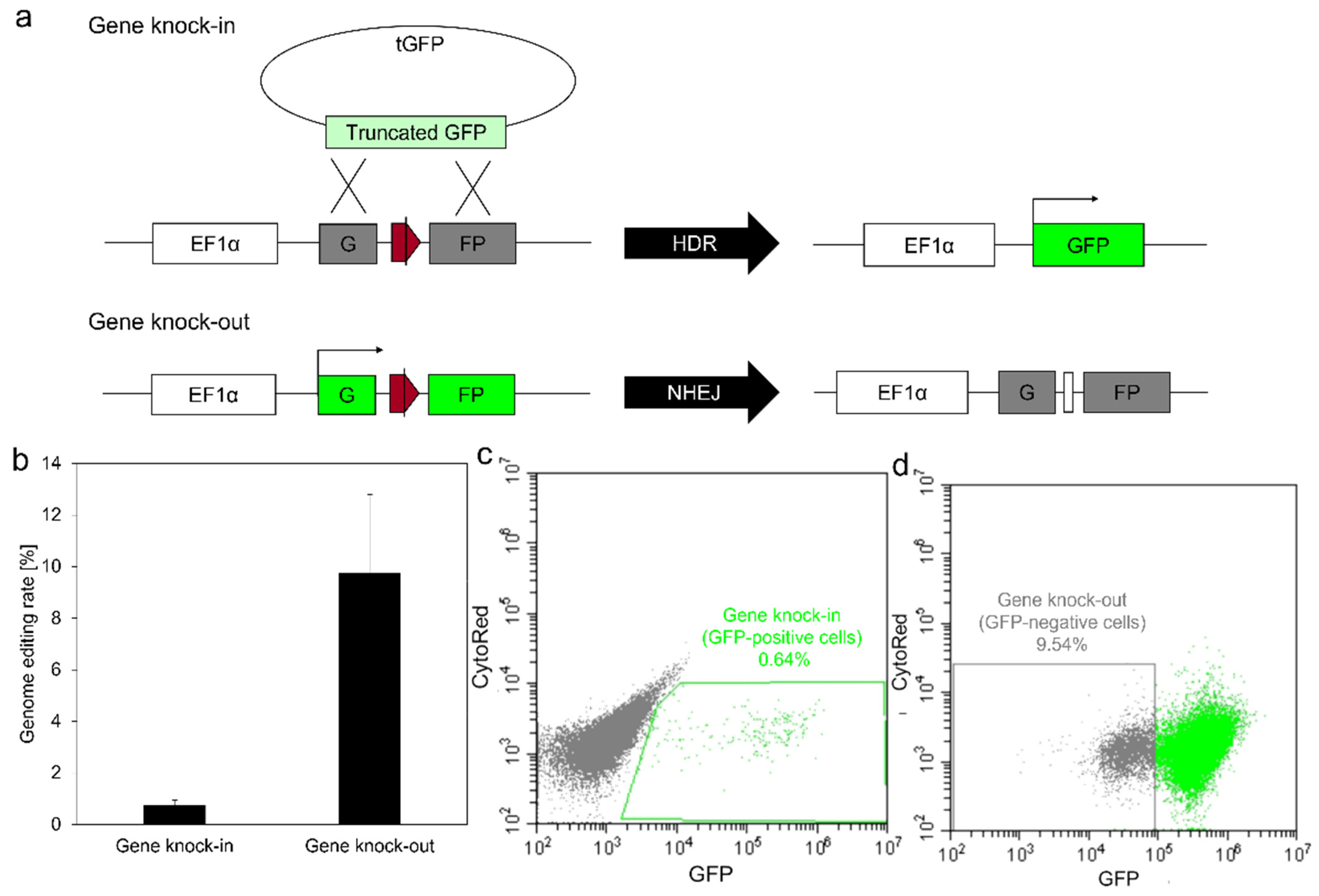Biomolecules 12 01638 g005 Biomolecules 12 01638 g005