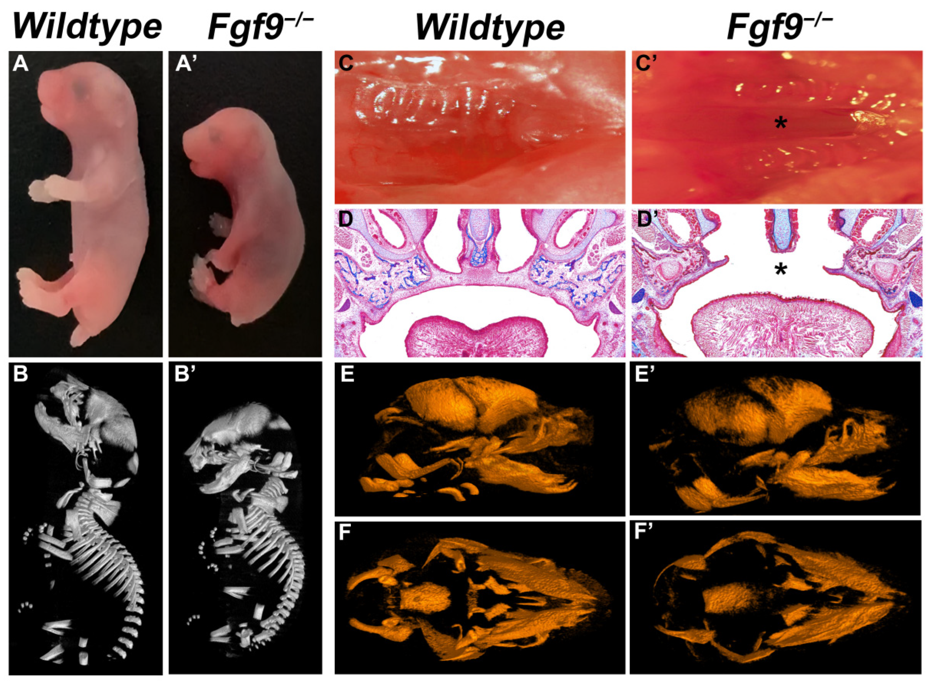 Biomolecules 12 01639 g001