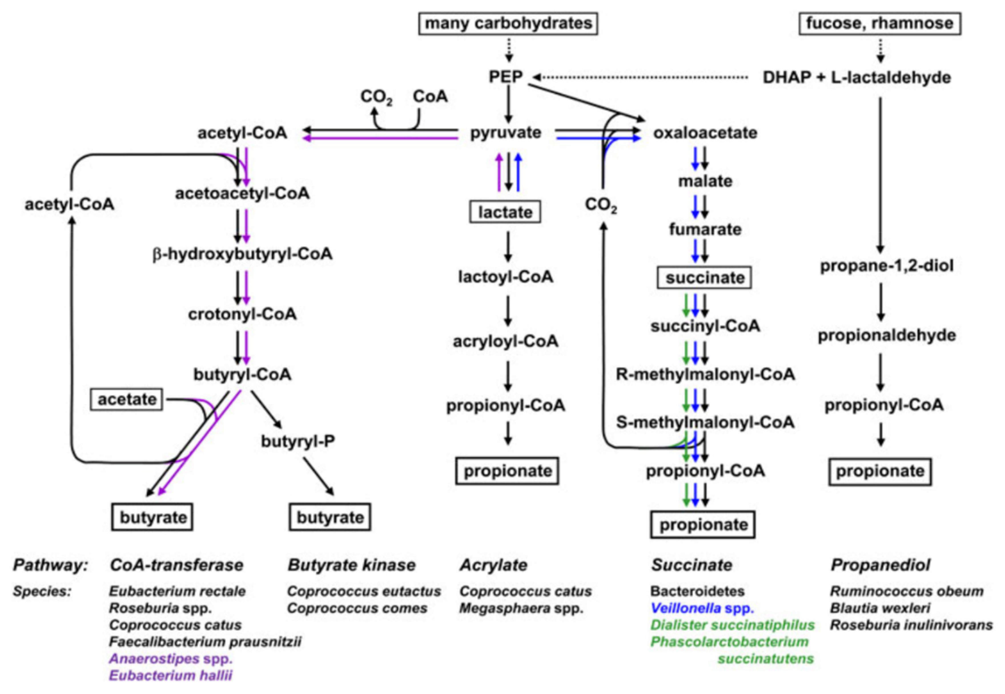 Biomolecules 12 01640 g001 Biomolecules 12 01640 g001