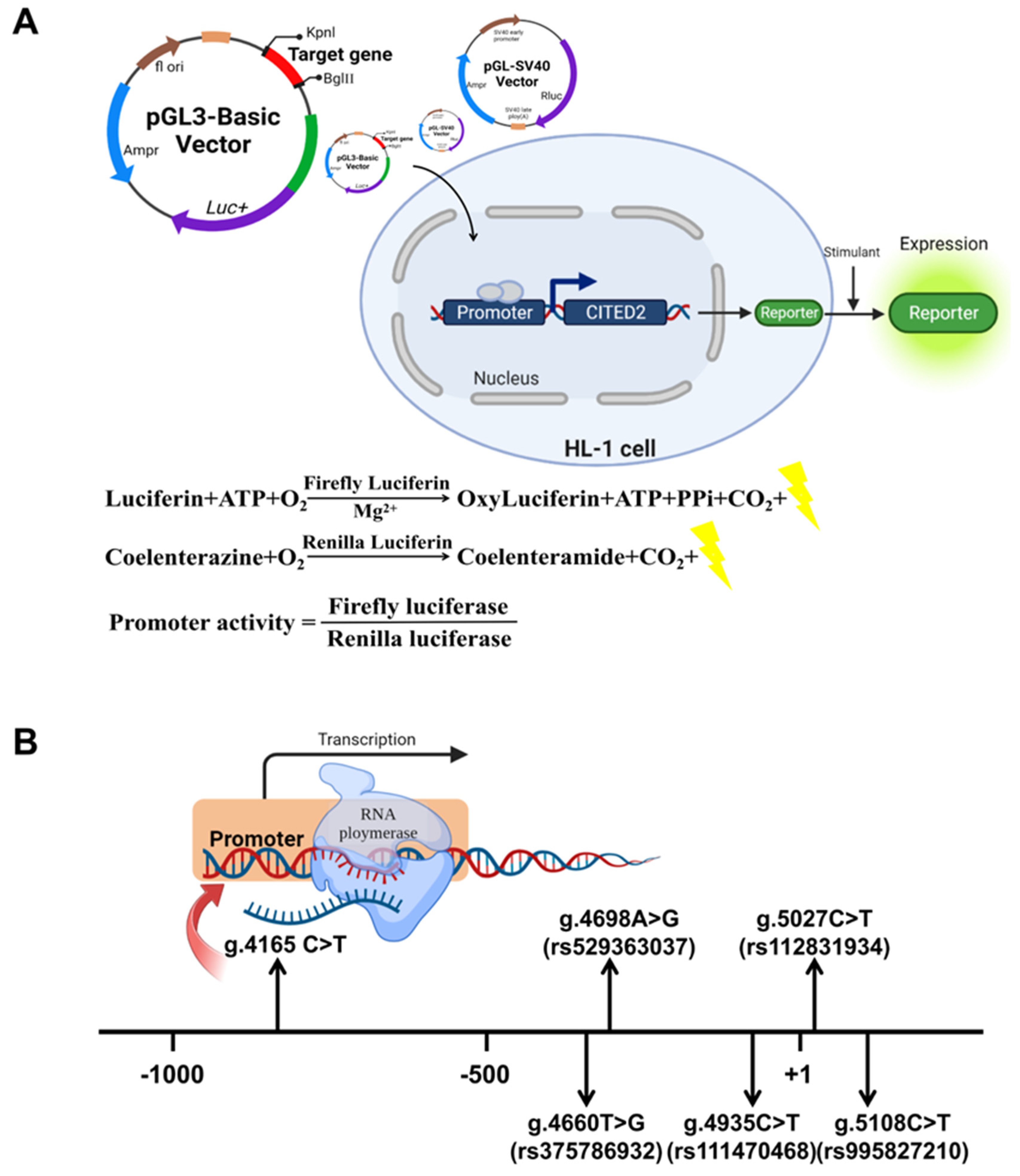 Biomolecules 12 01644 g002