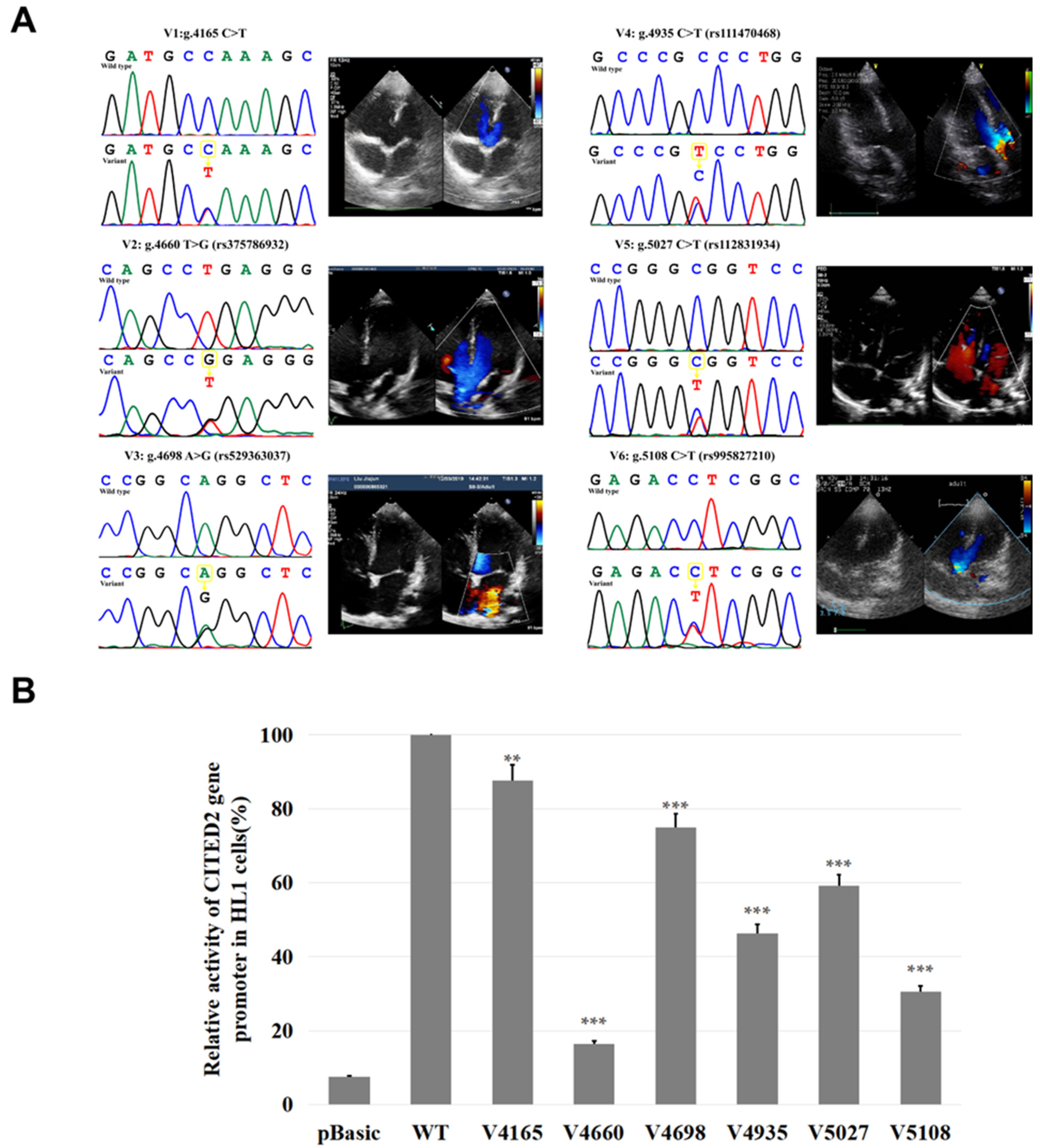 Biomolecules 12 01644 g003