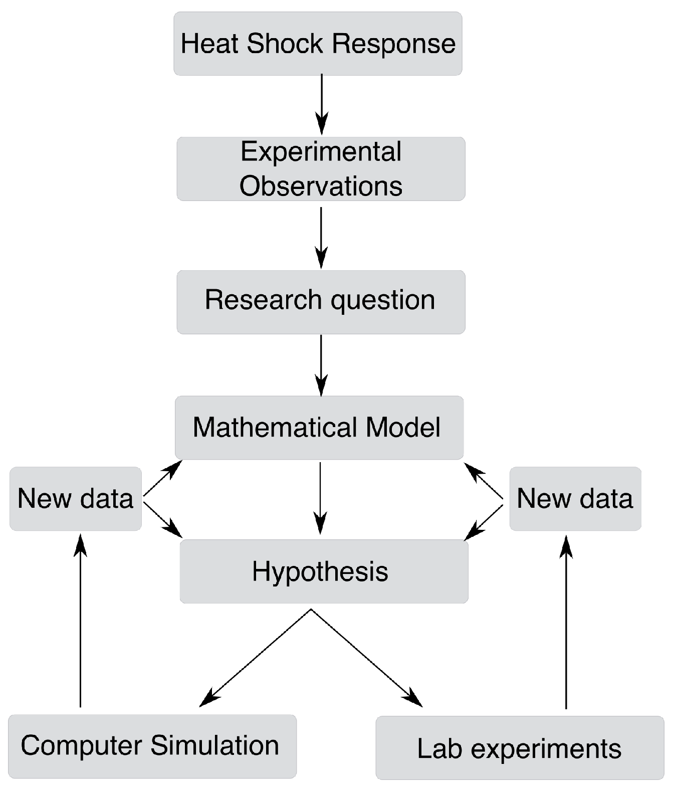 Biomolecules 12 01645 g002 Biomolecules 12 01645 g002