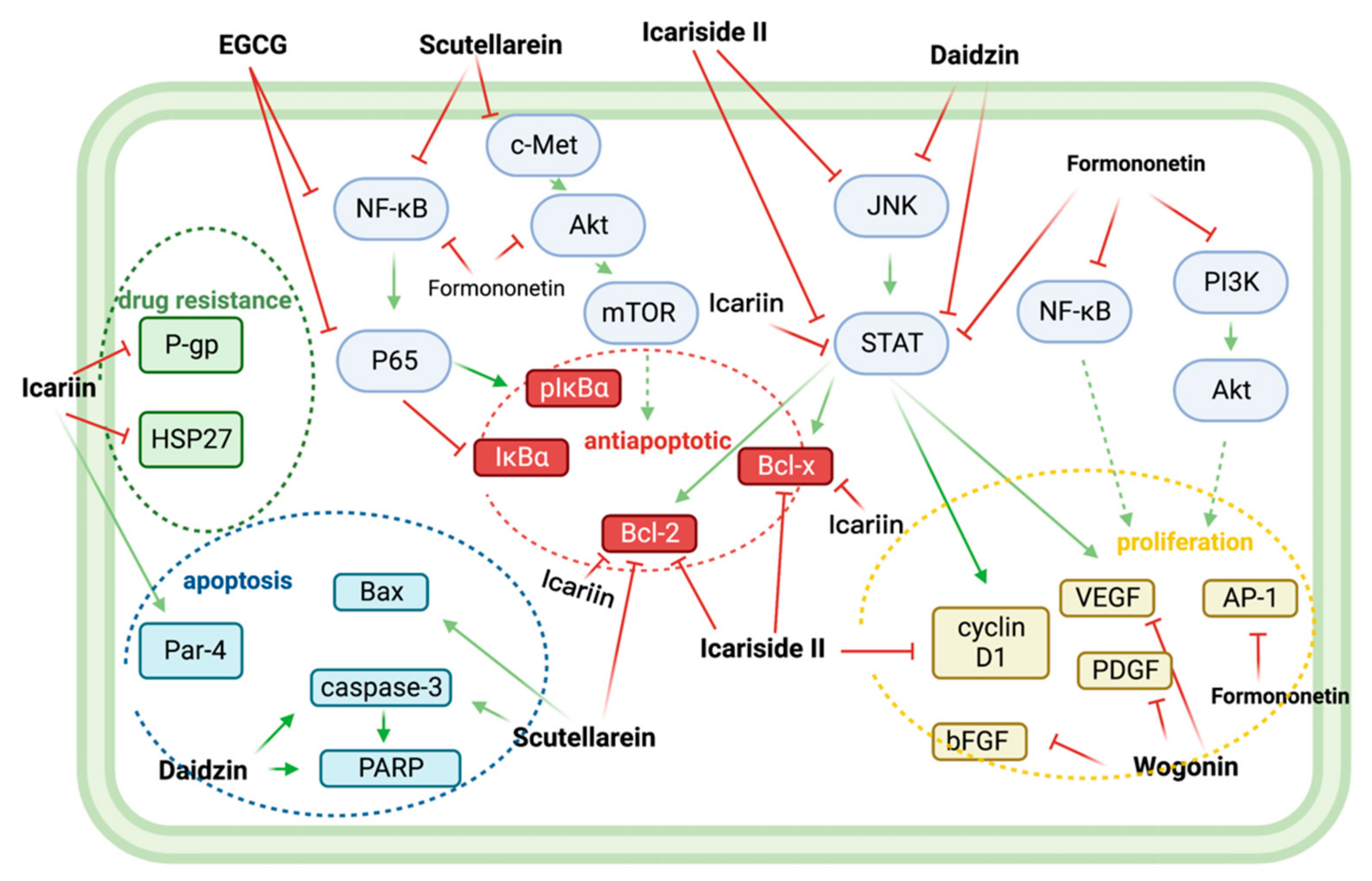 Biomolecules 12 01647 g006