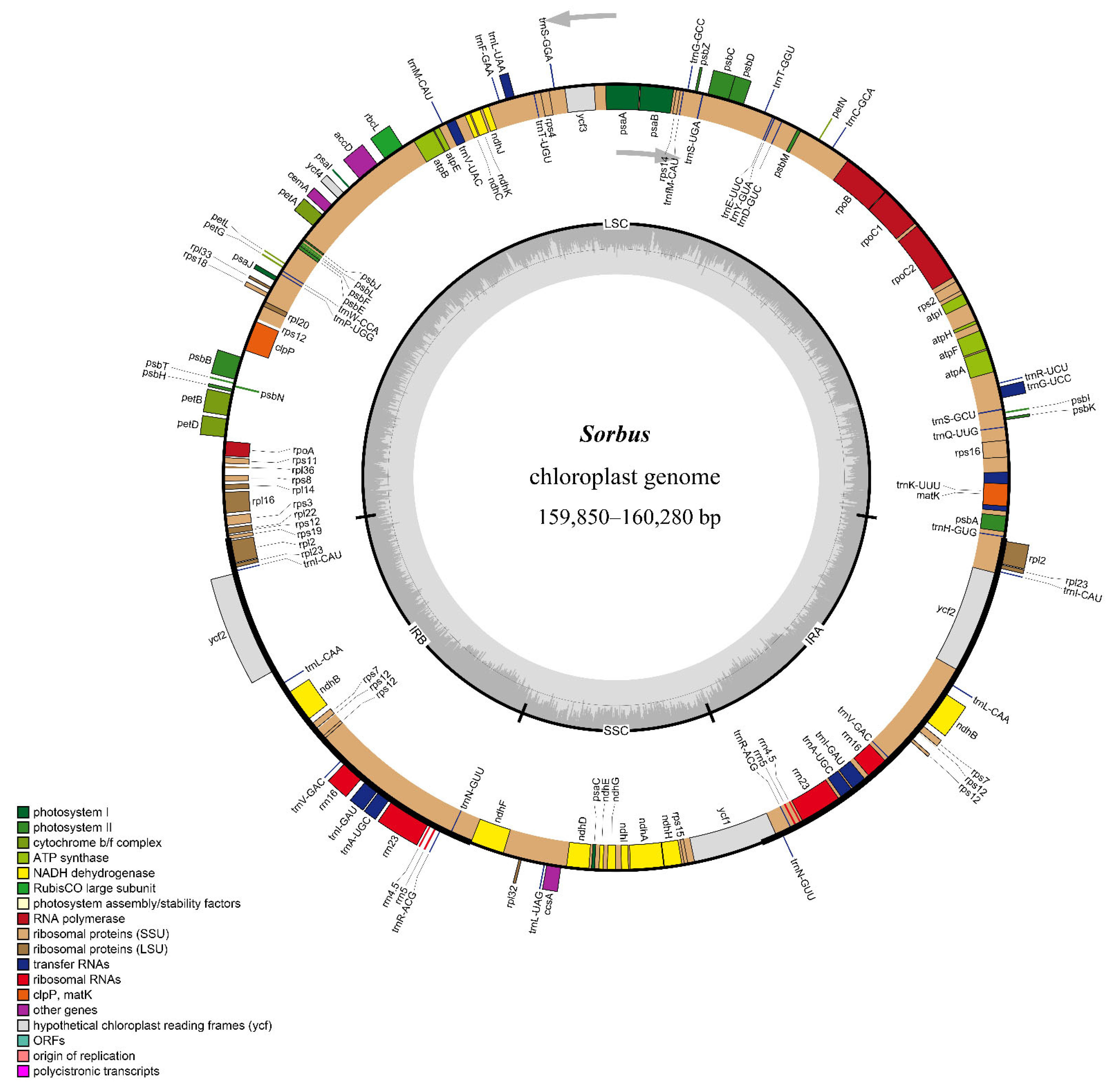 Biomolecules 12 01648 g001 Biomolecules 12 01648 g001