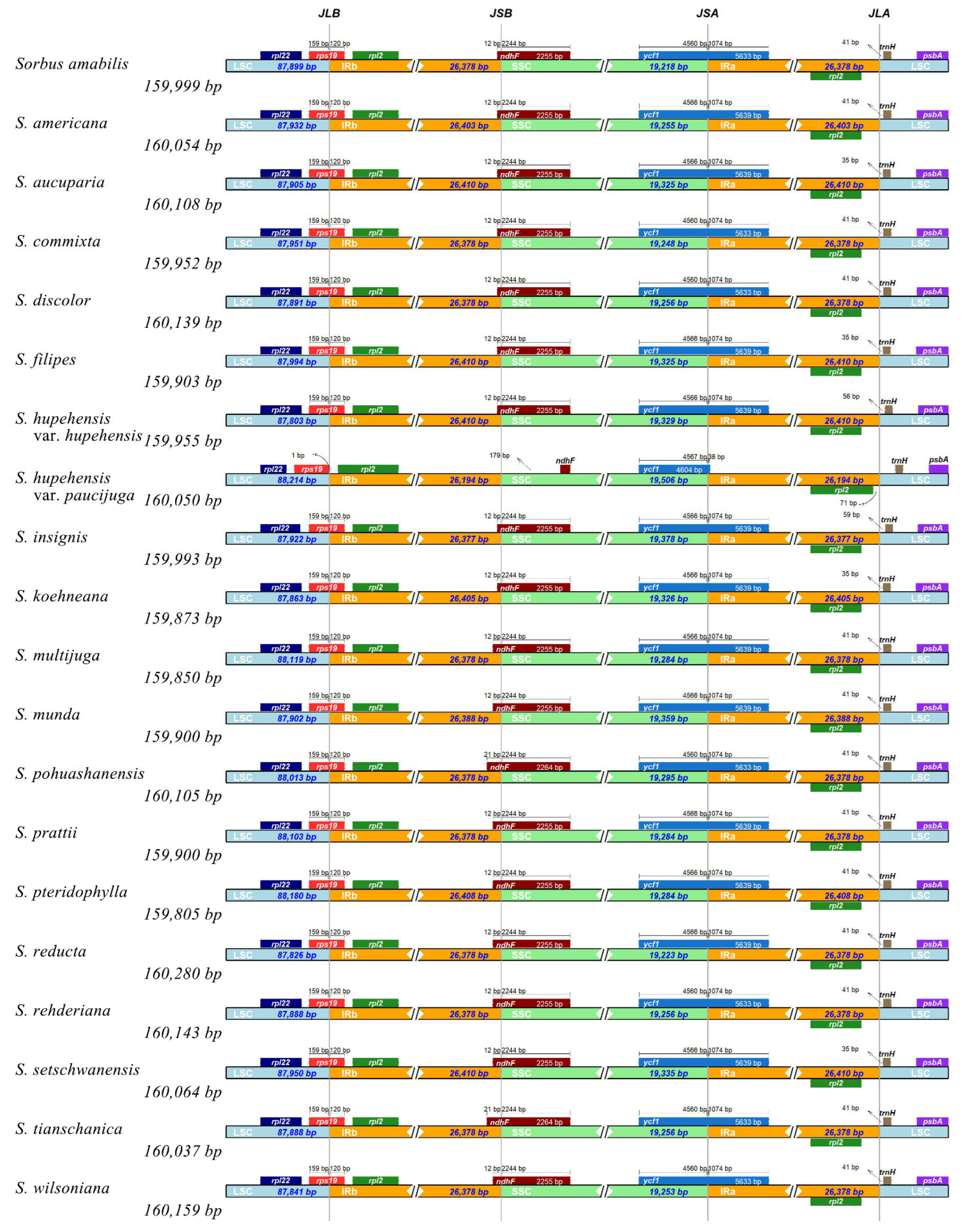Biomolecules 12 01648 g002 Biomolecules 12 01648 g002