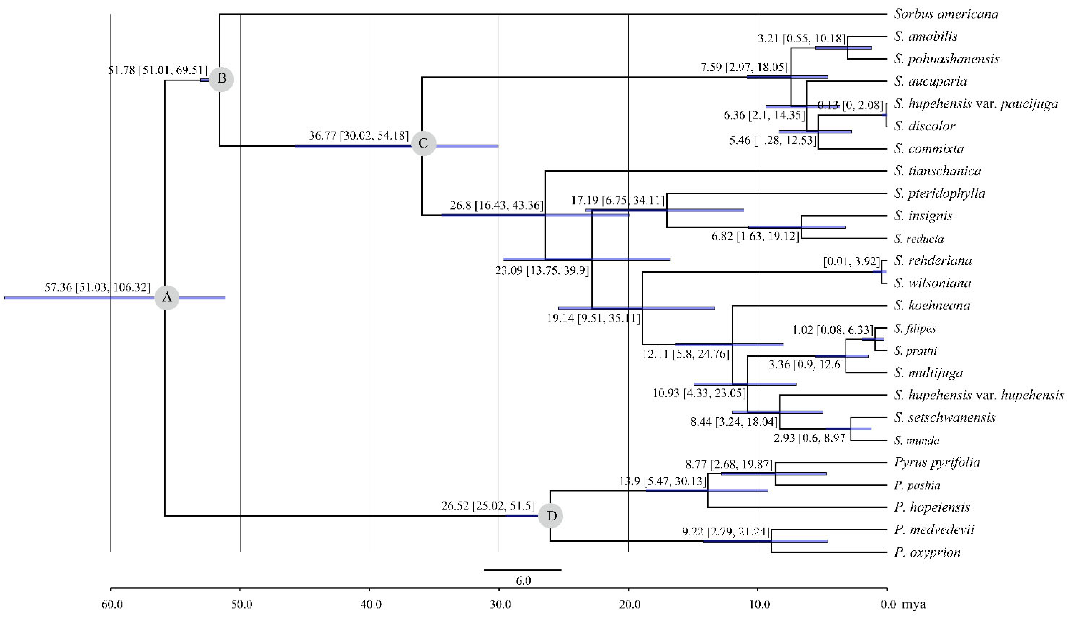 Biomolecules 12 01648 g007 Biomolecules 12 01648 g007