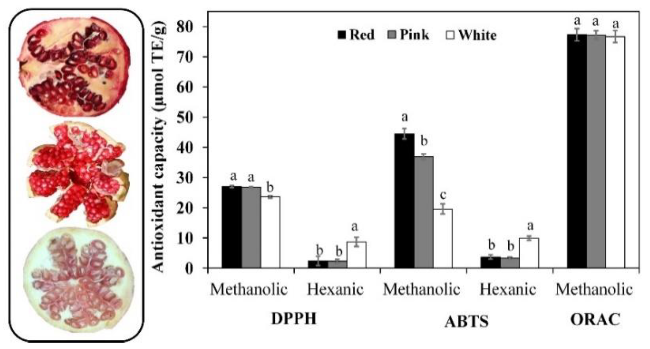 Biomolecules 12 01649 g001 Biomolecules 12 01649 g001