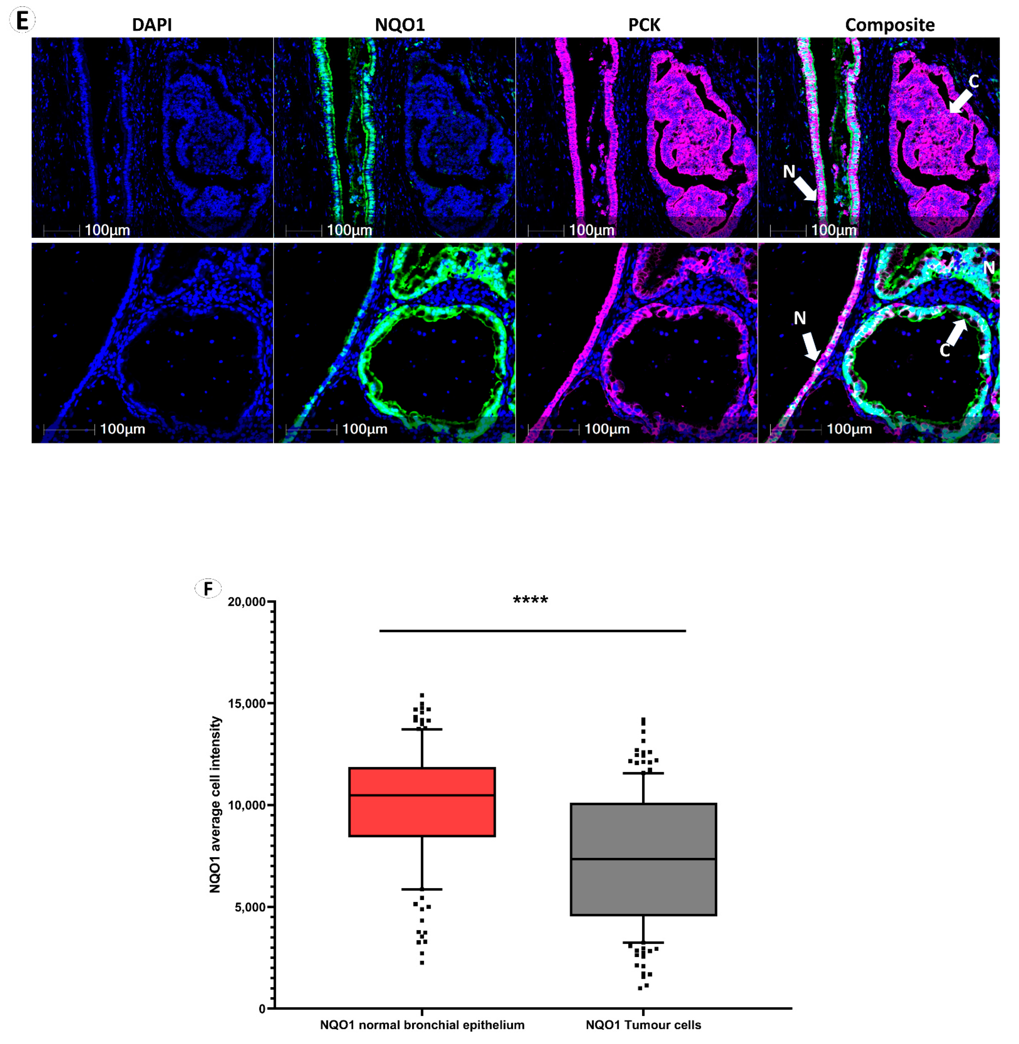 Biomolecules 12 01652 g001c