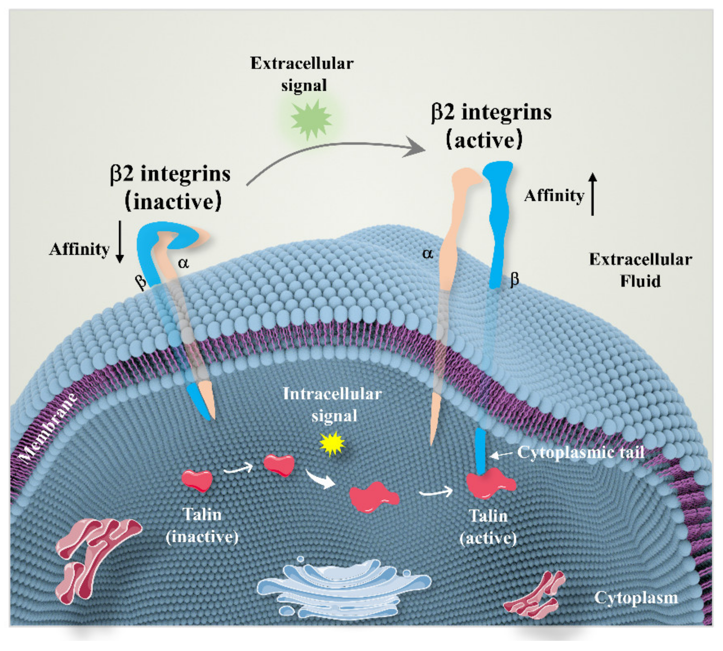 Biomolecules 12 01653 g002