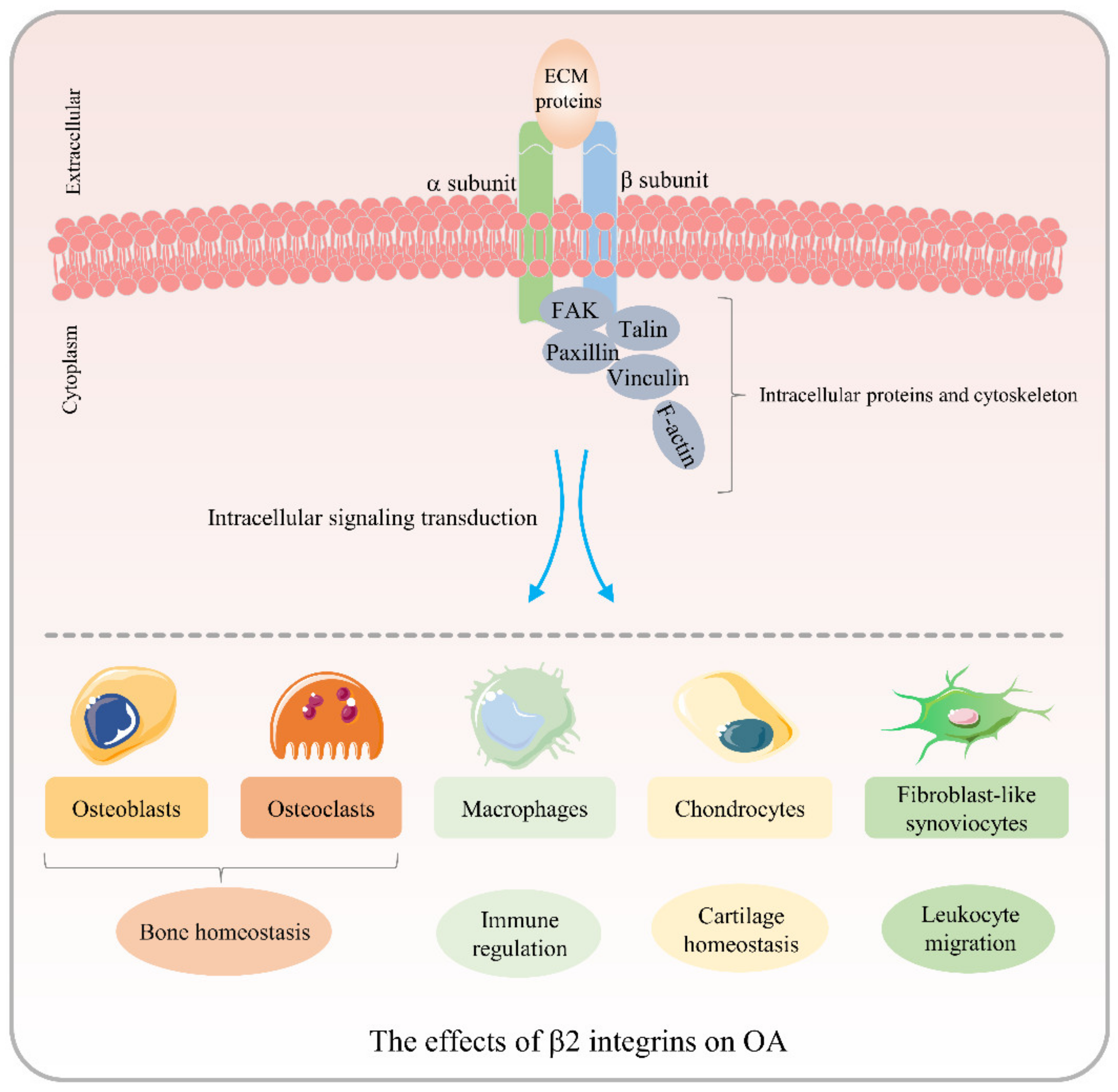 Biomolecules 12 01653 g003