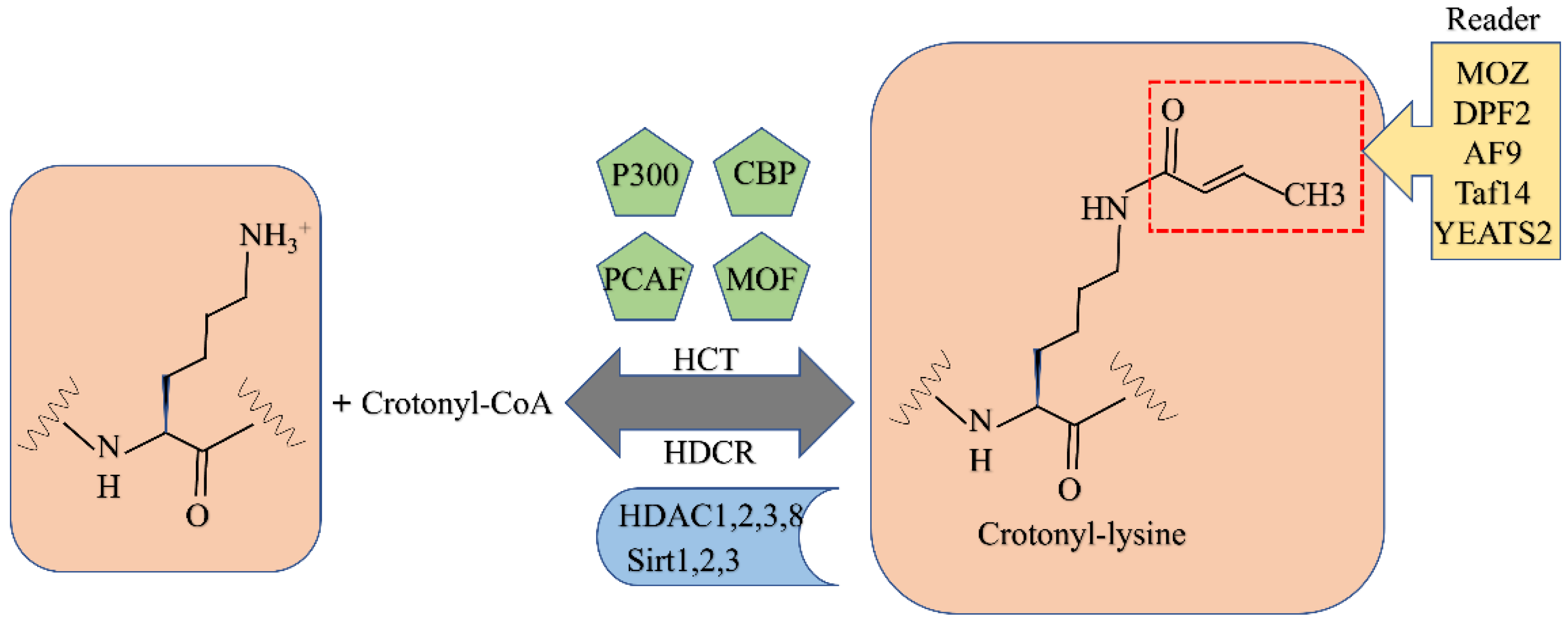 Biomolecules 12 01655 g005 Biomolecules 12 01655 g005