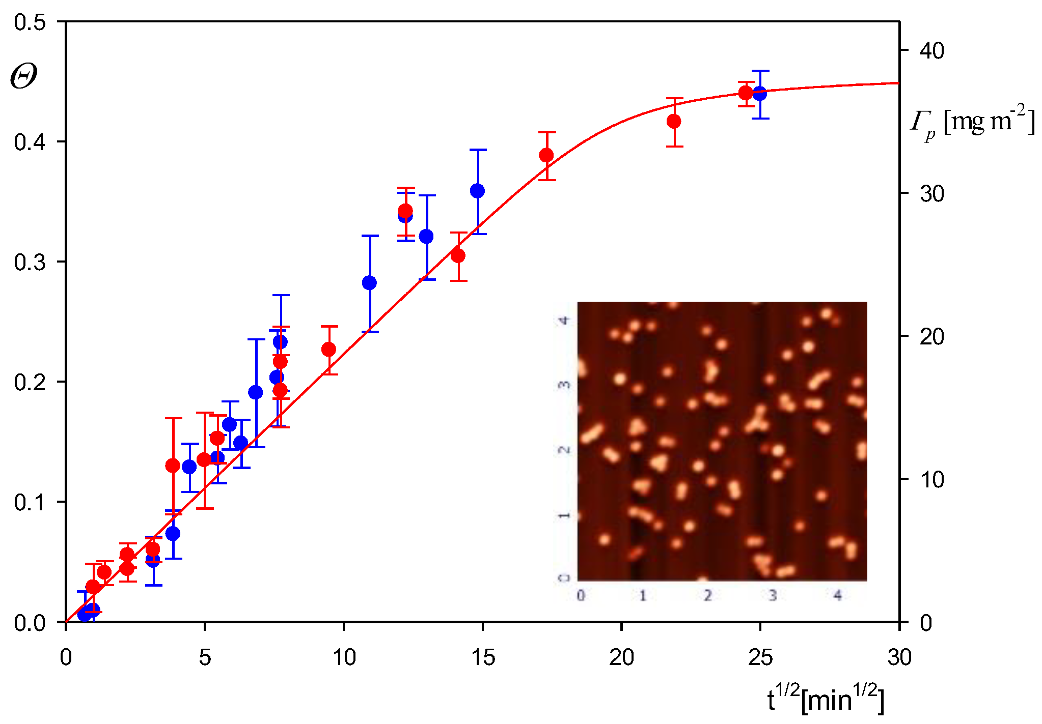 Biomolecules 12 01658 g009 Biomolecules 12 01658 g009