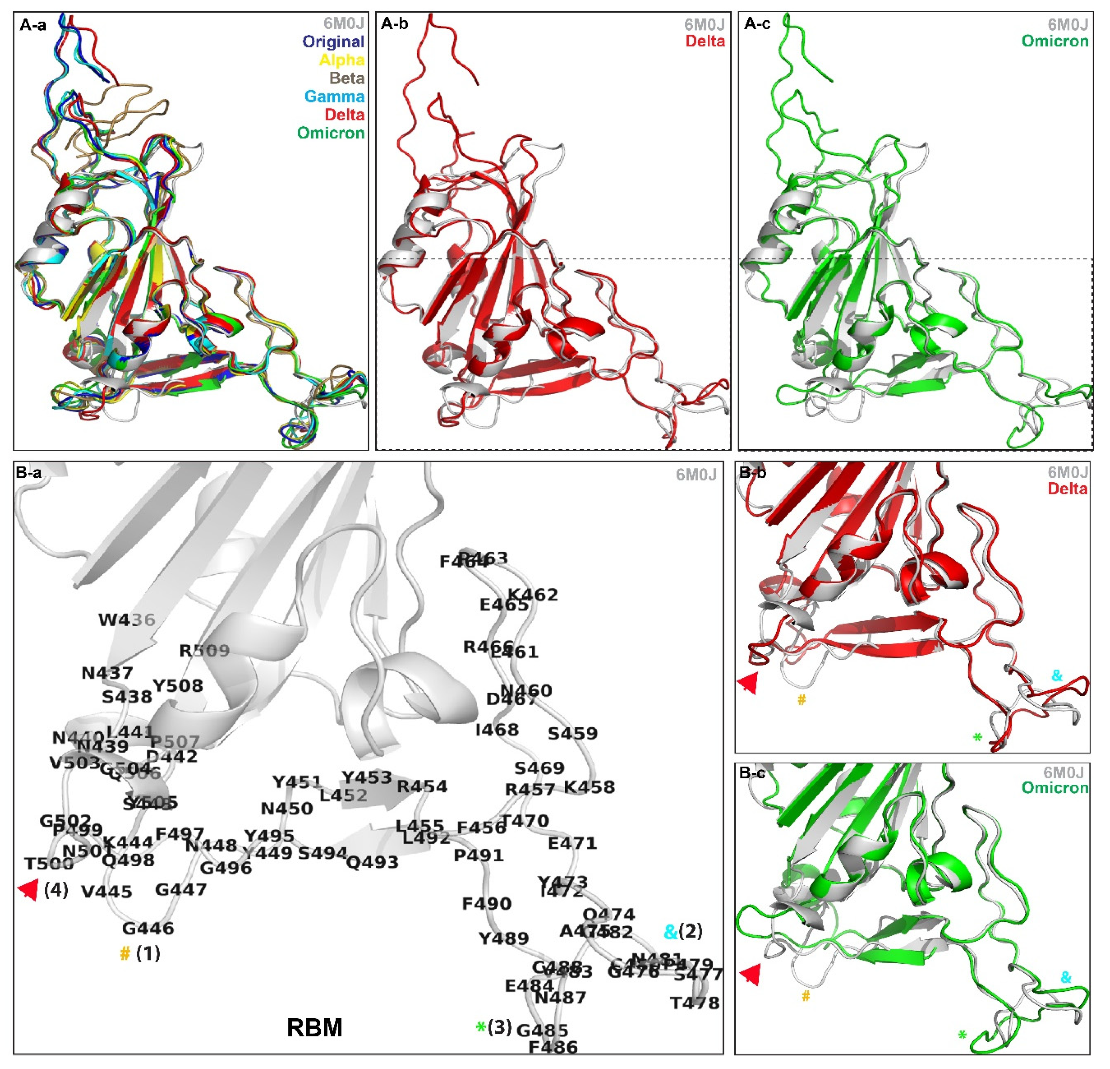 Biomolecules 12 01665 g001 Biomolecules 12 01665 g001