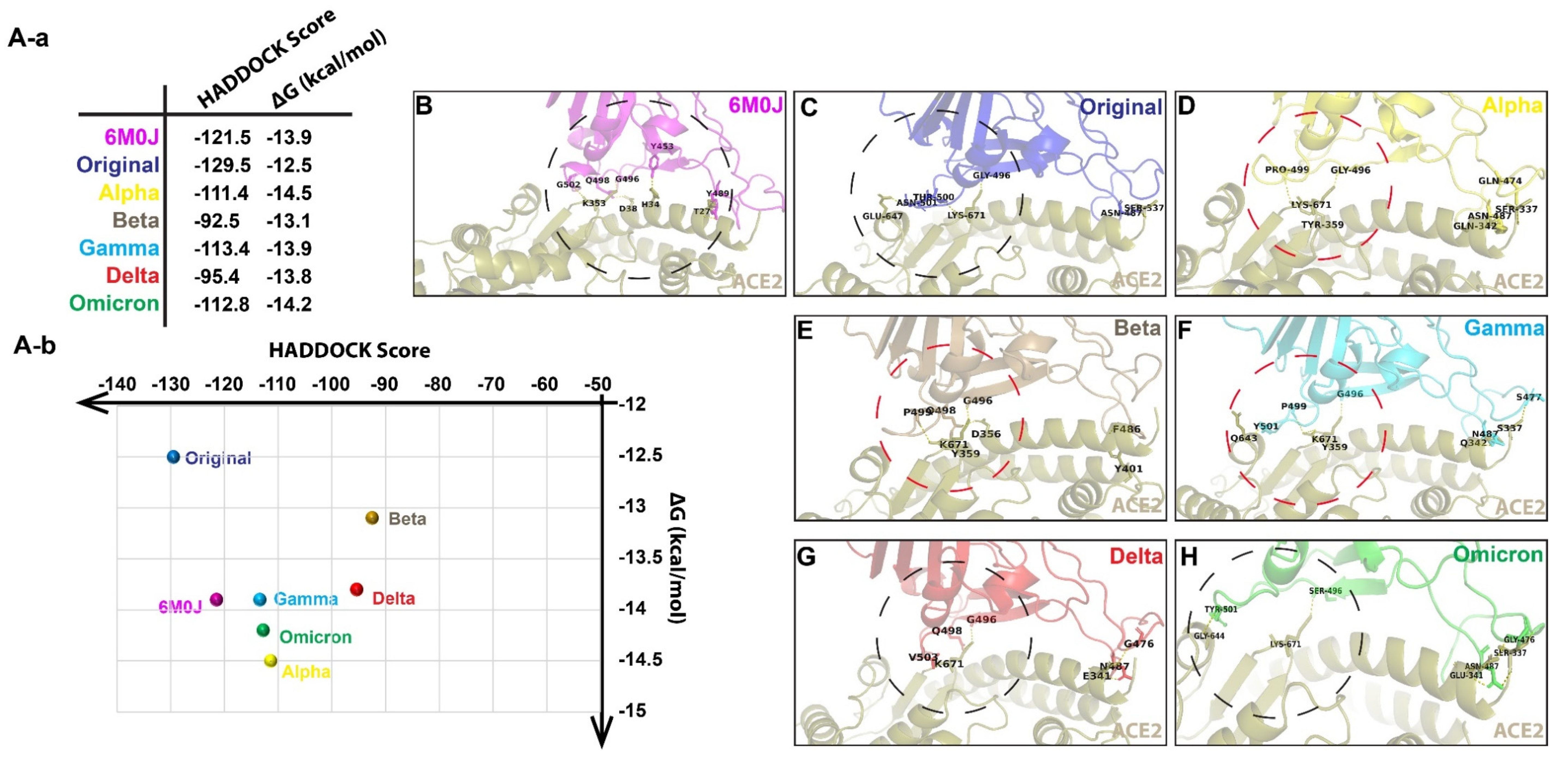 Biomolecules 12 01665 g002 Biomolecules 12 01665 g002