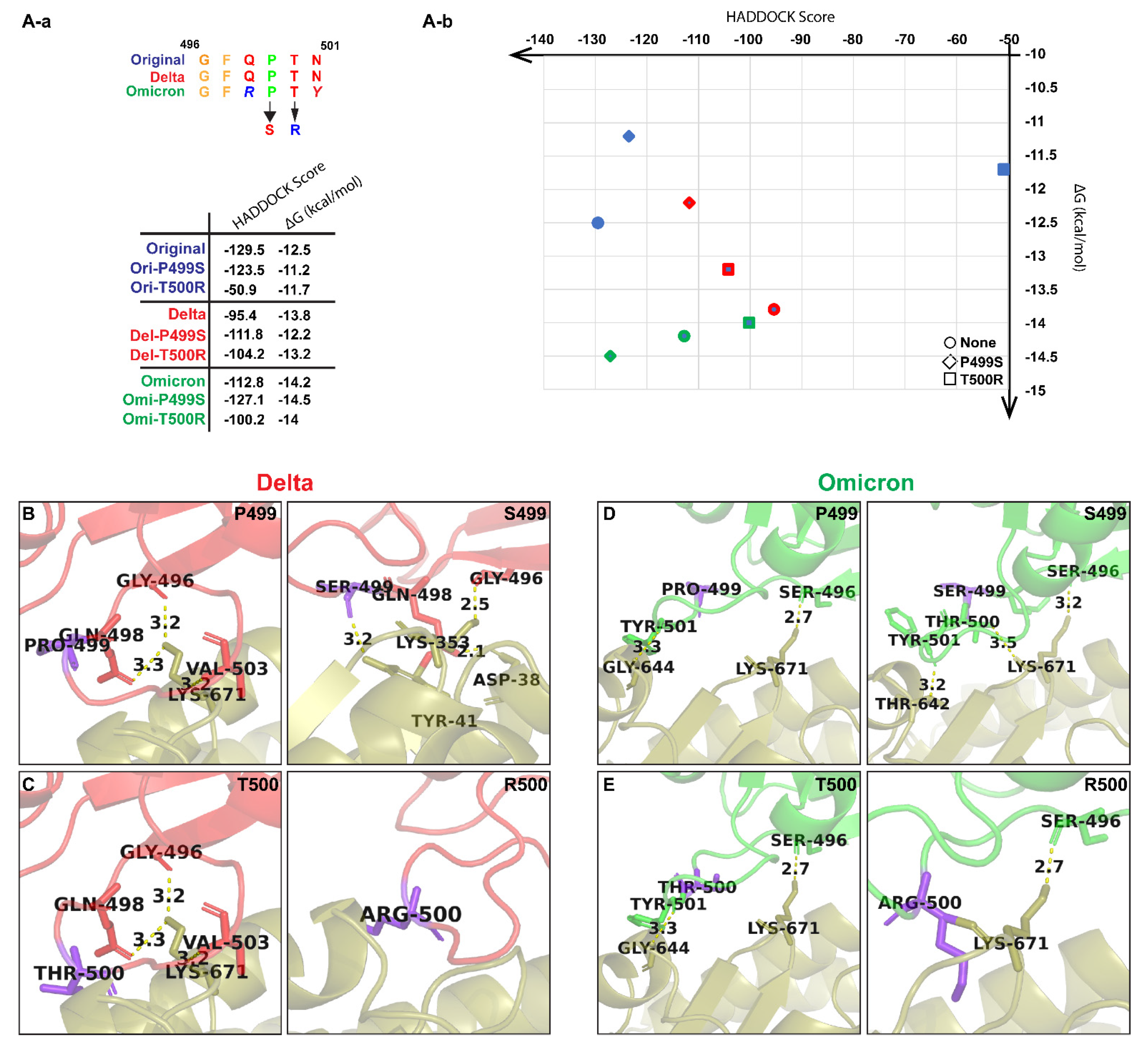 Biomolecules 12 01665 g003 Biomolecules 12 01665 g003