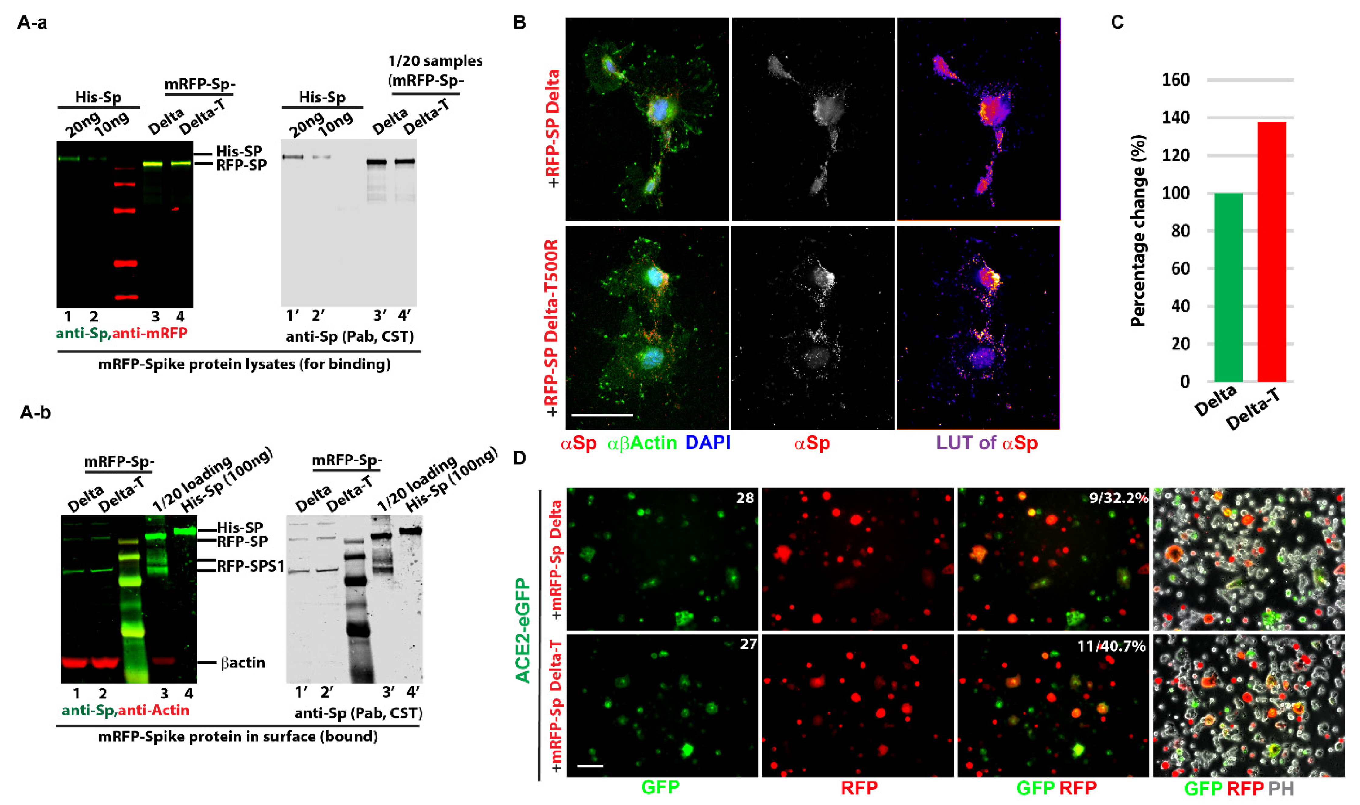 Biomolecules 12 01665 g004 Biomolecules 12 01665 g004