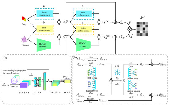 Drug Repositioning Based on the Enhanced Message Passing and Hypergraph ...