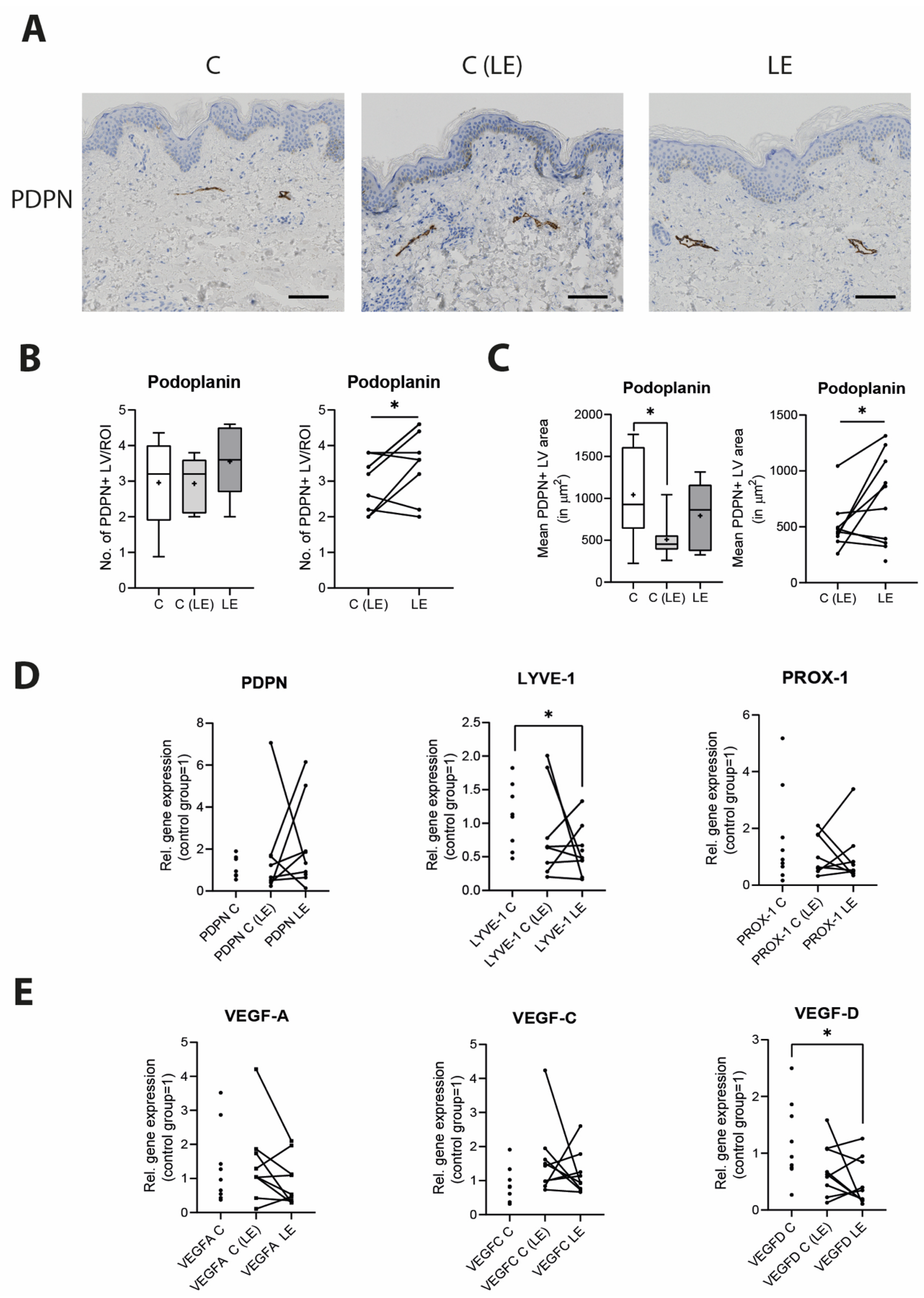 Biomolecules 12 01667 g003 Biomolecules 12 01667 g003