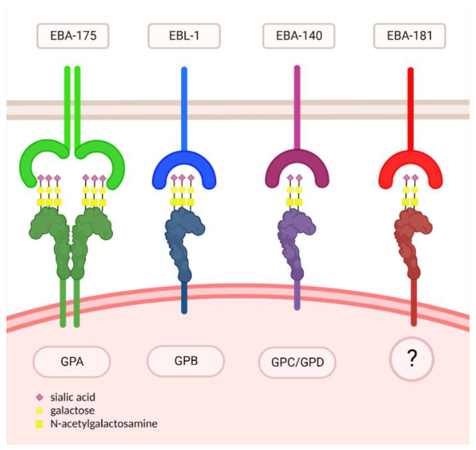 Biomolecules 12 01669 g002