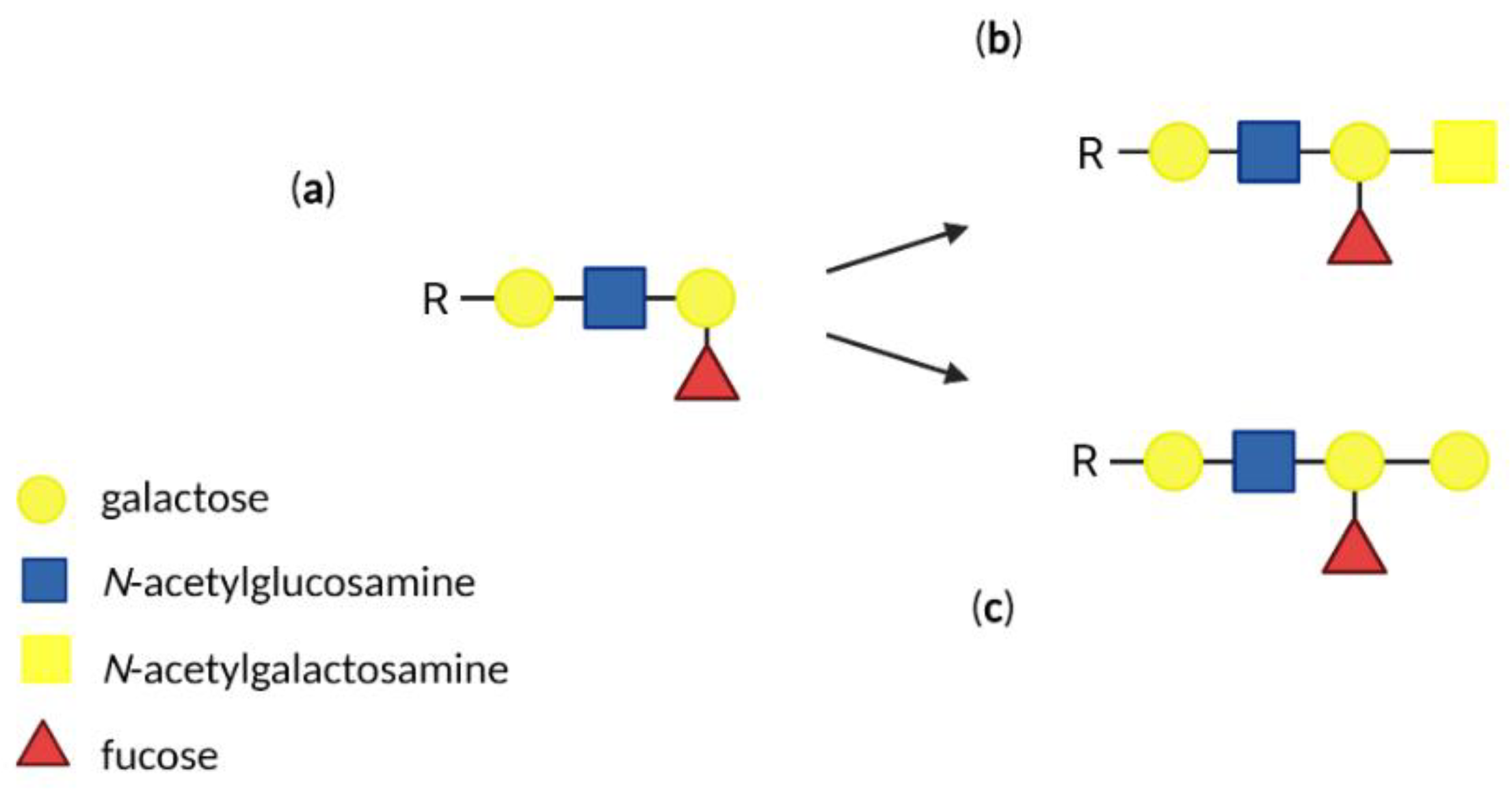 Biomolecules 12 01669 g003