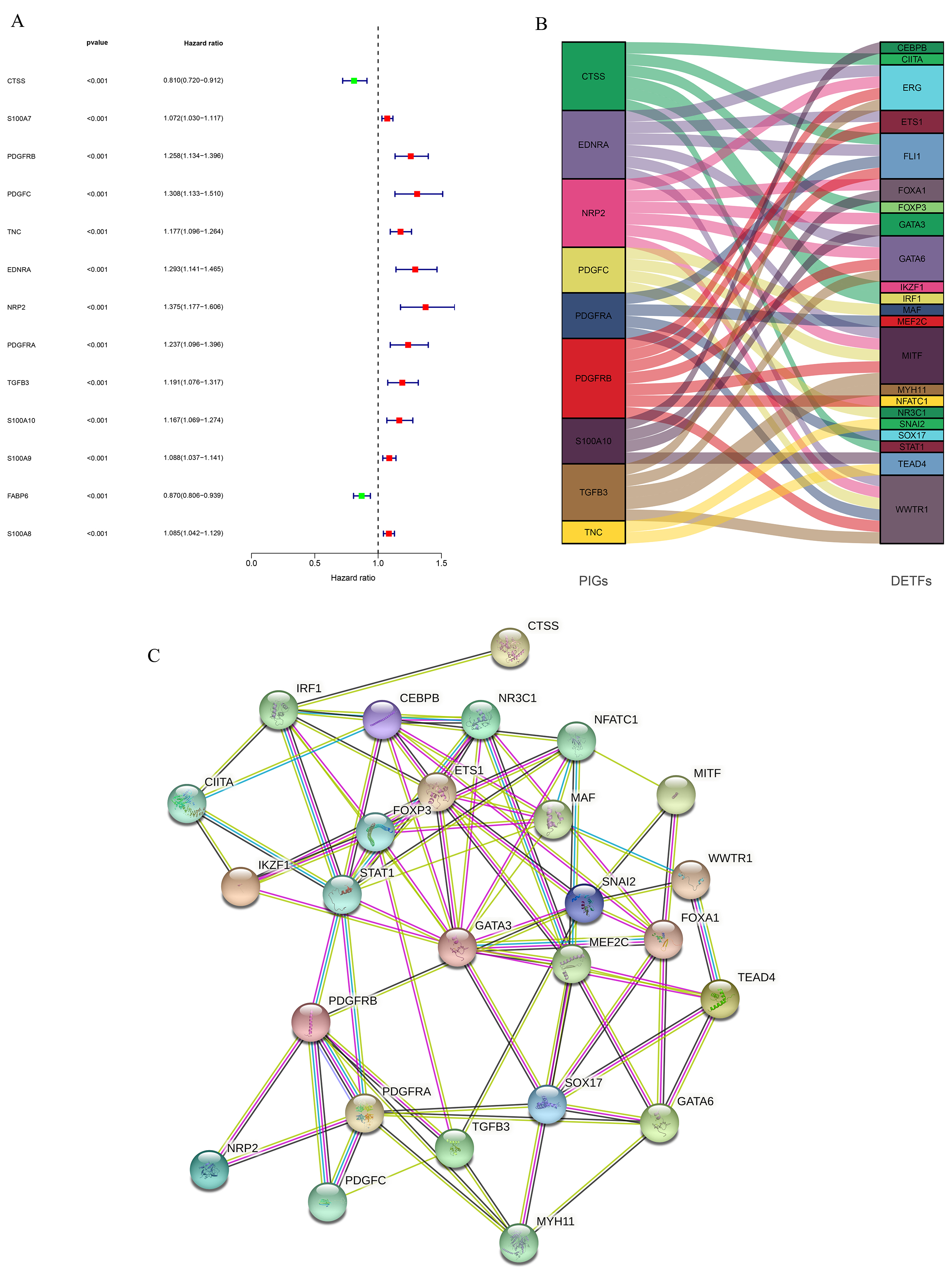 Biomolecules 12 01670 g004 Biomolecules 12 01670 g004