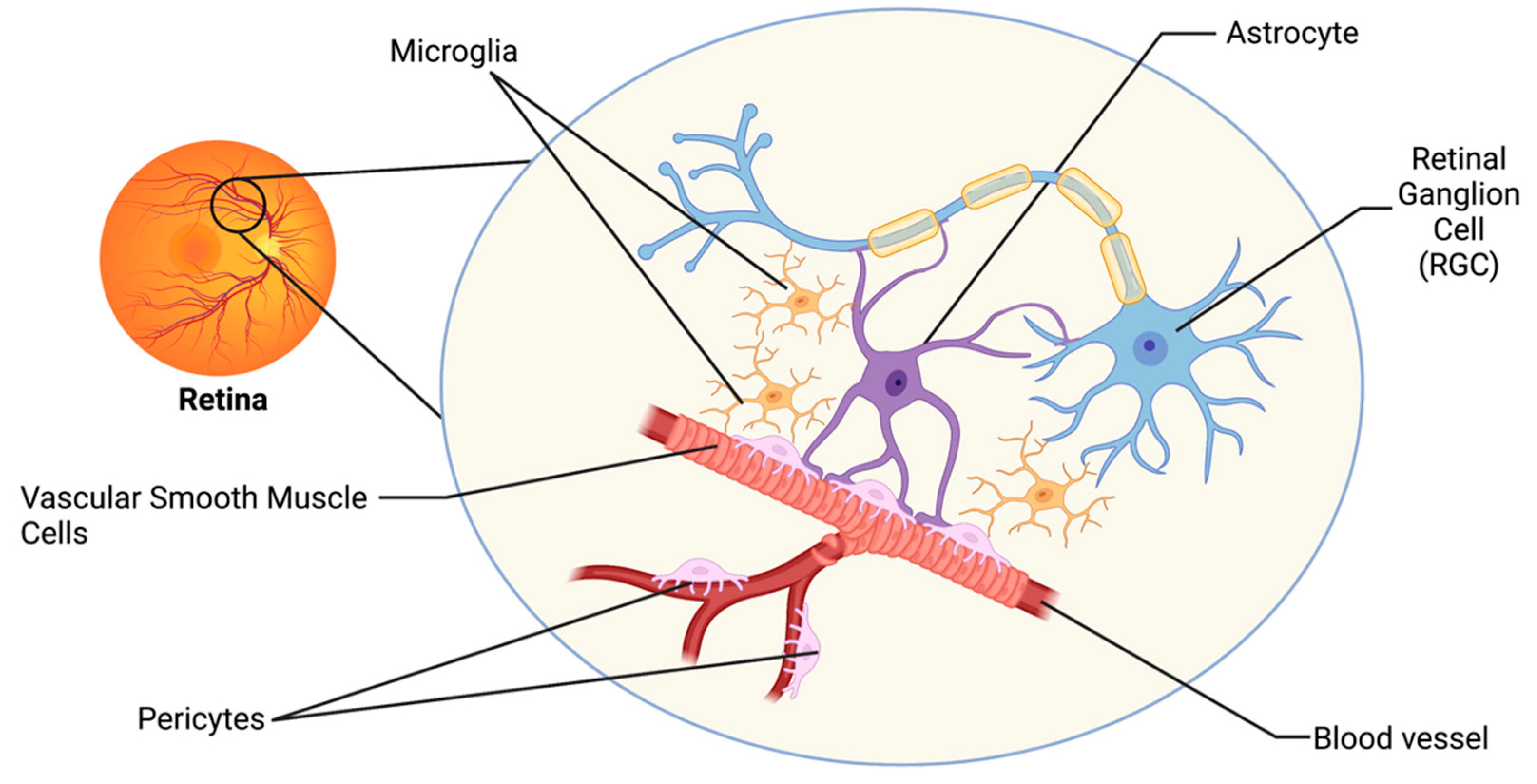 Biomolecules 12 01671 g001 Biomolecules 12 01671 g001