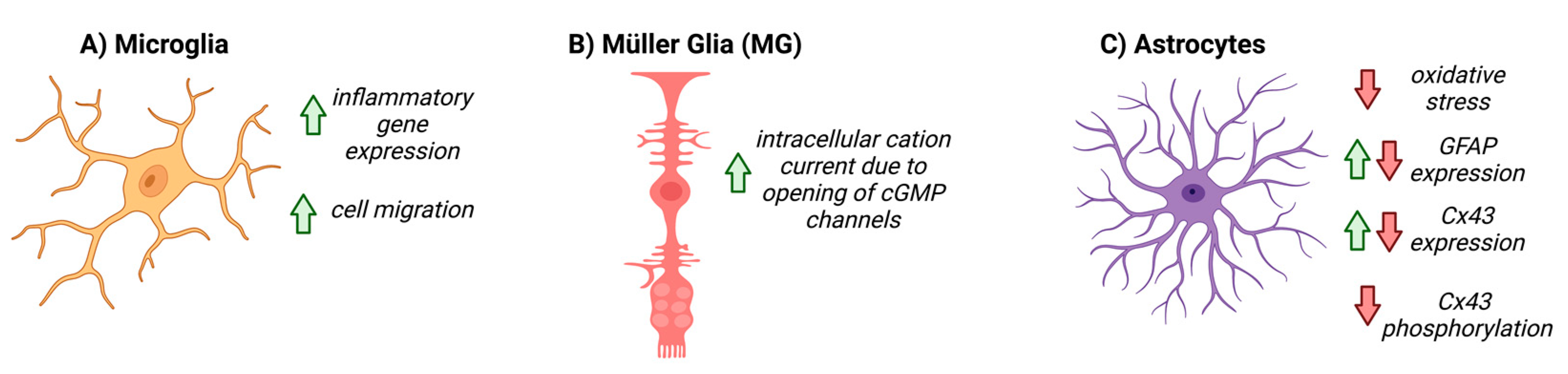 Biomolecules 12 01671 g003 Biomolecules 12 01671 g003