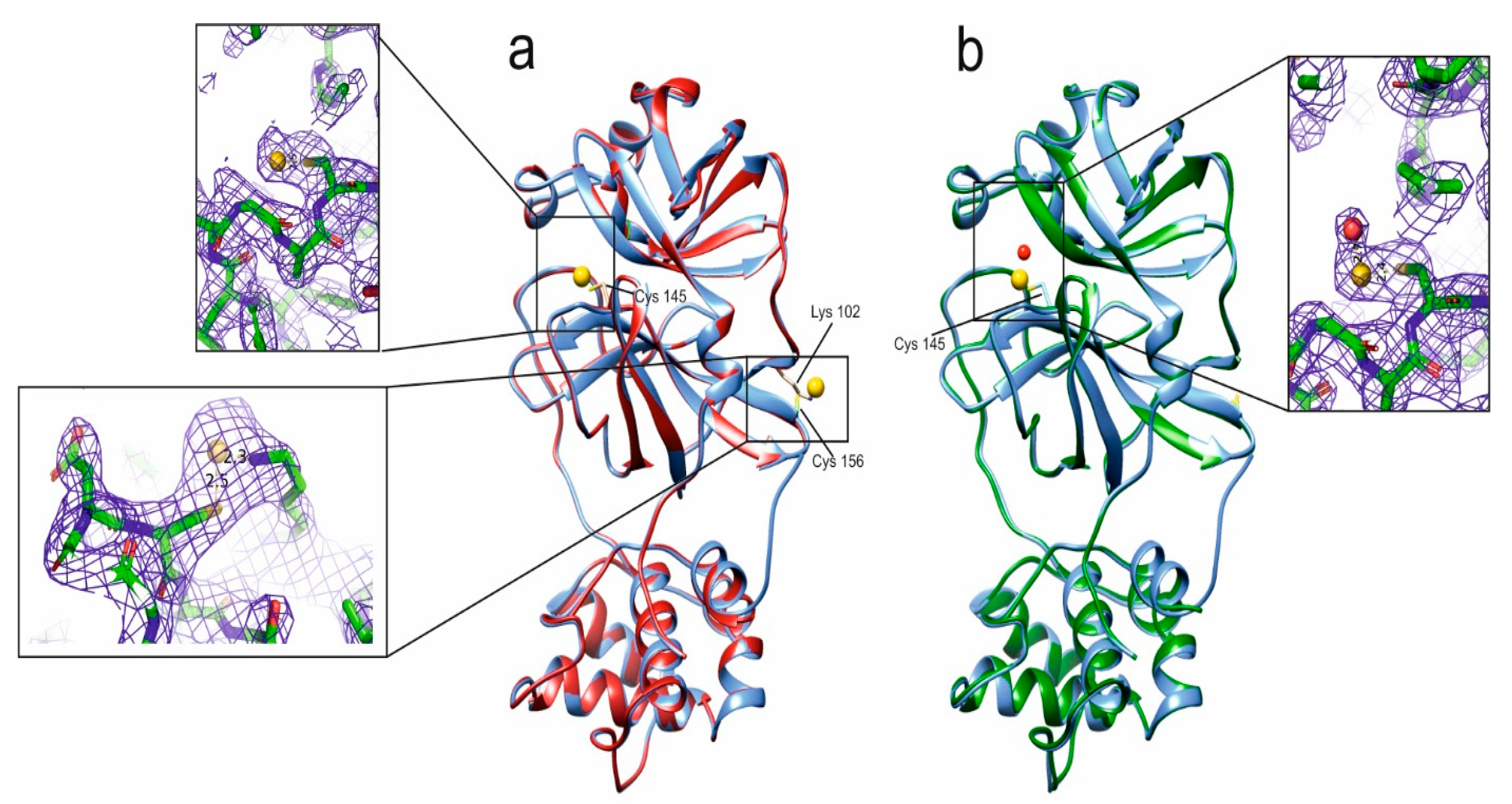 Biomolecules 12 01675 g004 Biomolecules 12 01675 g004