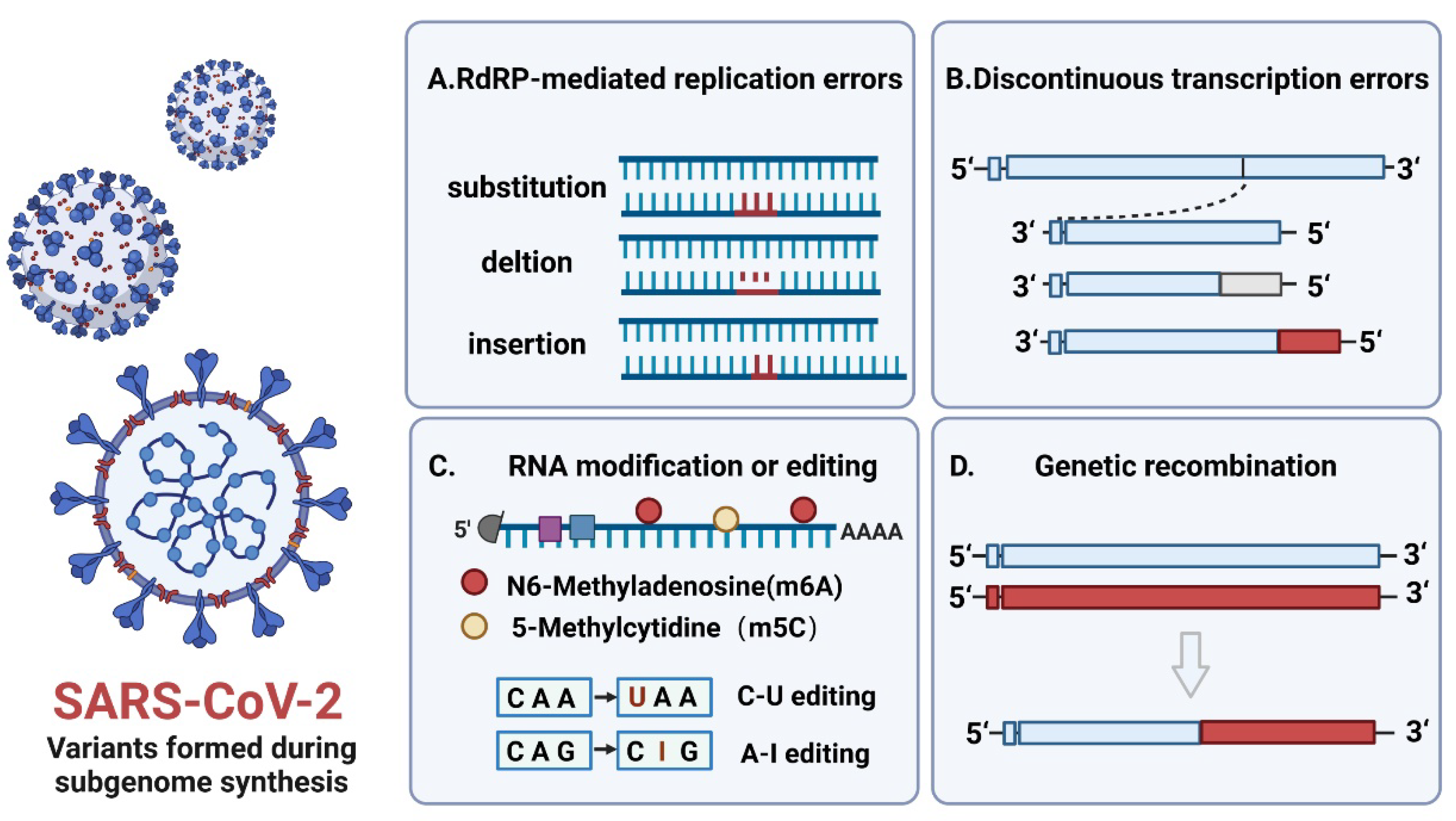 Biomolecules 12 01680 g002 Biomolecules 12 01680 g002