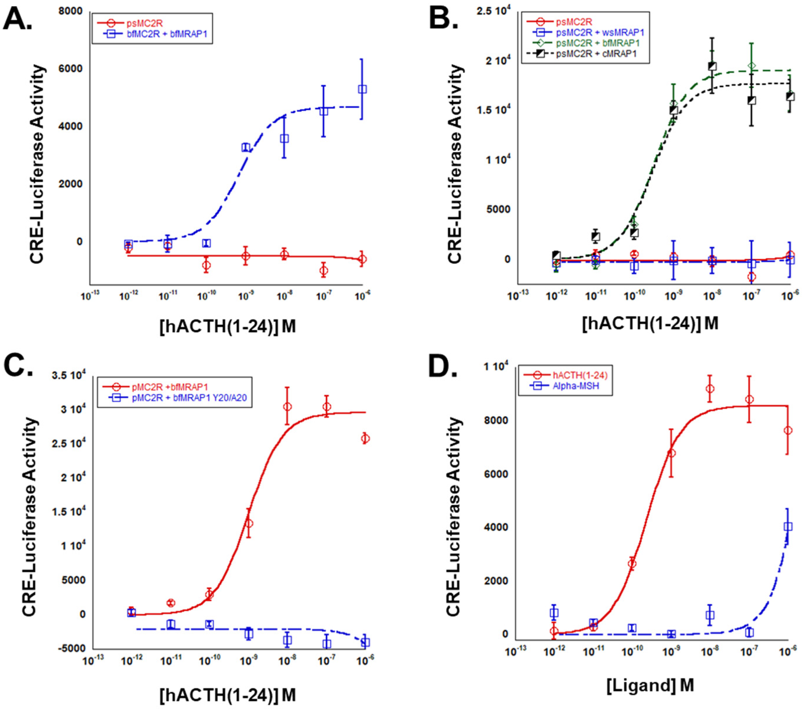 Biomolecules 12 01681 g004 Biomolecules 12 01681 g004