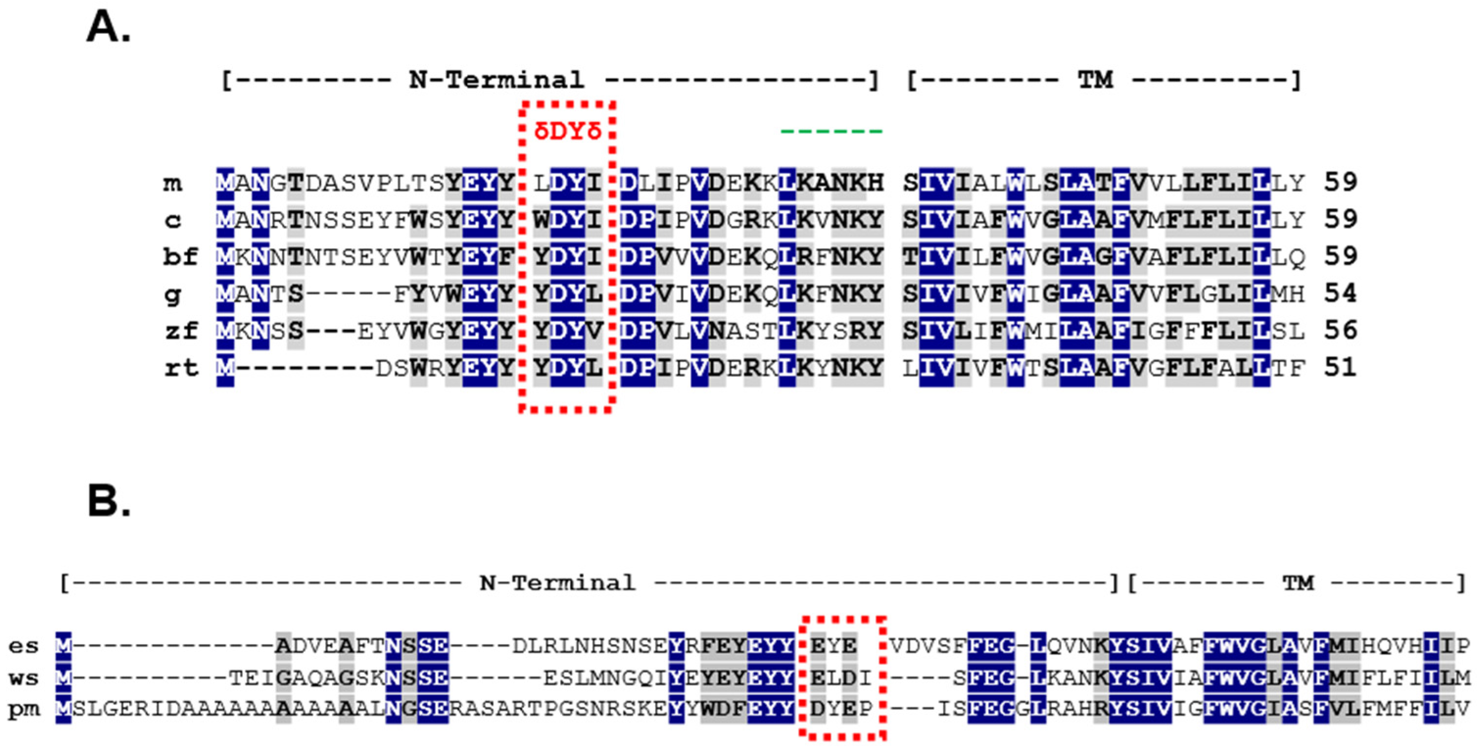 Biomolecules 12 01681 g006 Biomolecules 12 01681 g006