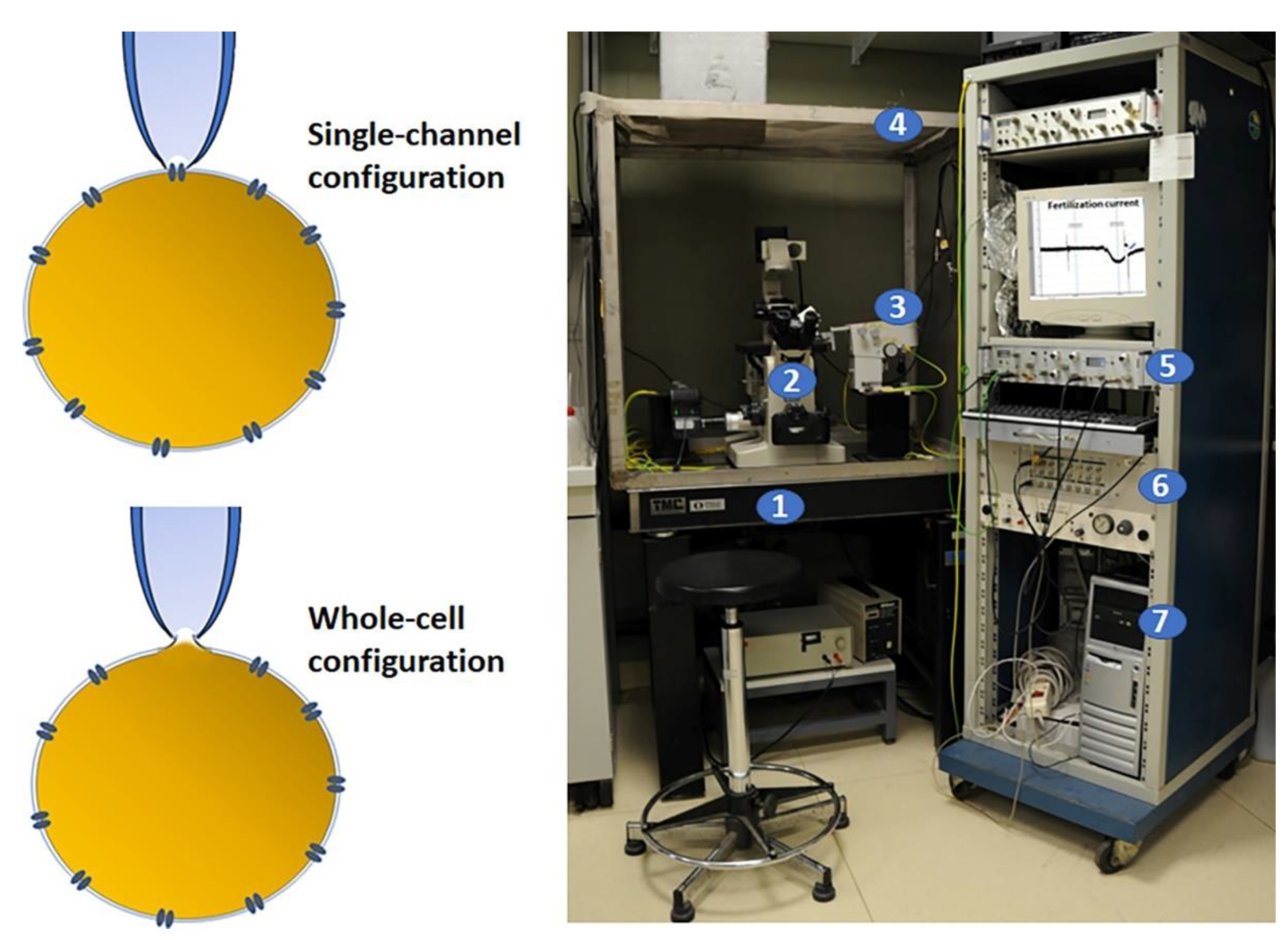 Biomolecules 12 01685 g001 Biomolecules 12 01685 g001