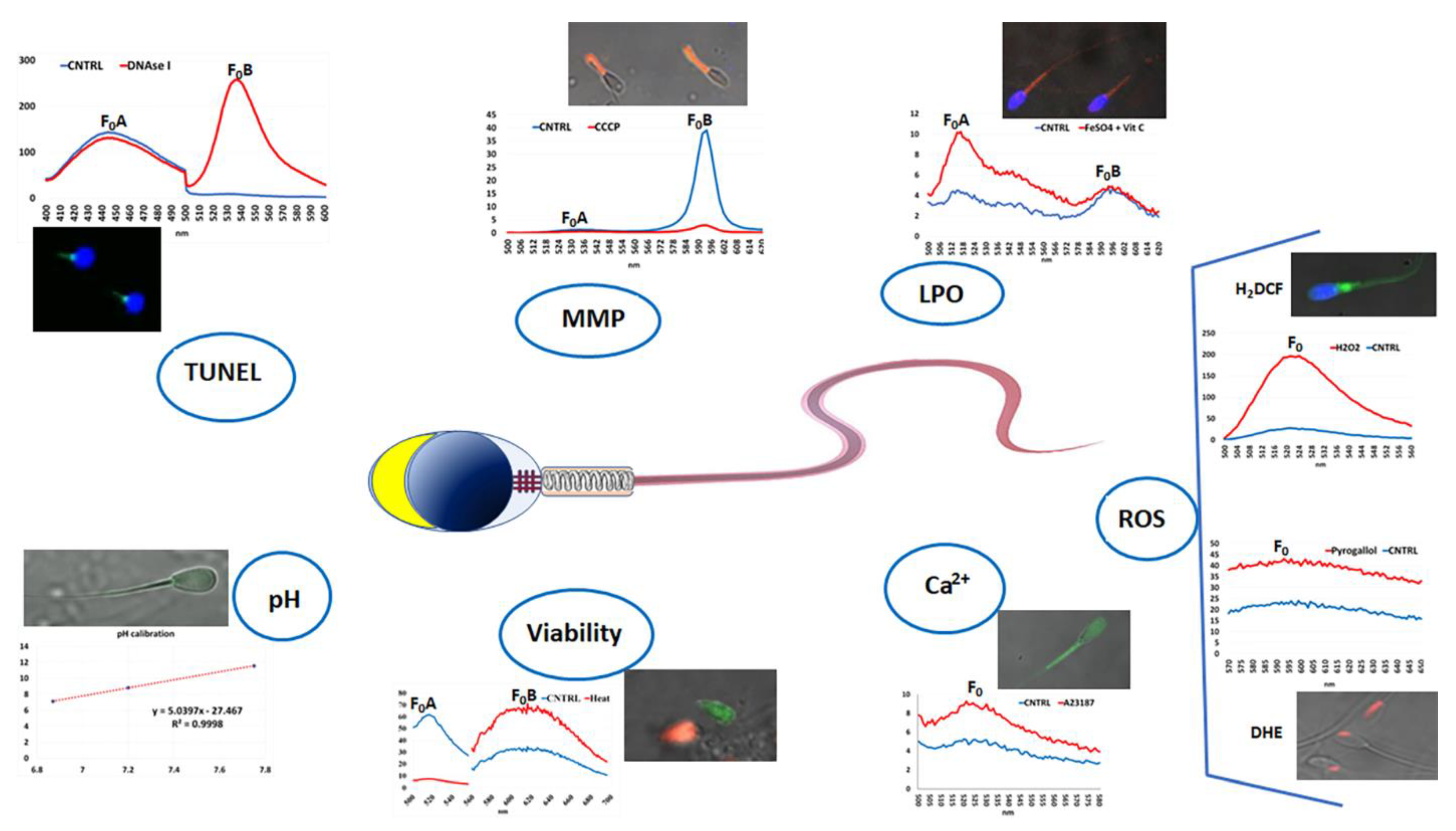 Biomolecules 12 01685 g003 Biomolecules 12 01685 g003