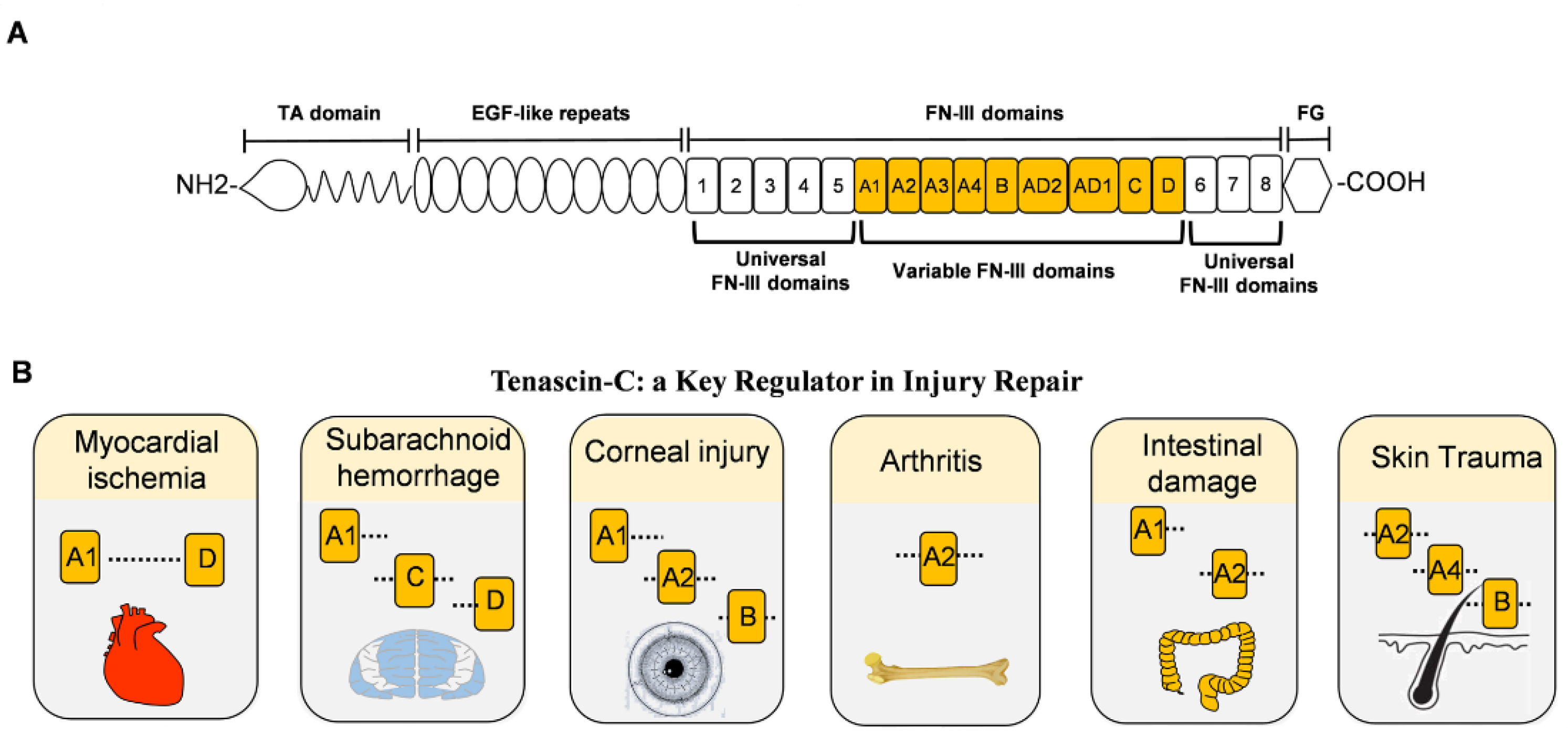 Biomolecules 12 01689 g001 Biomolecules 12 01689 g001
