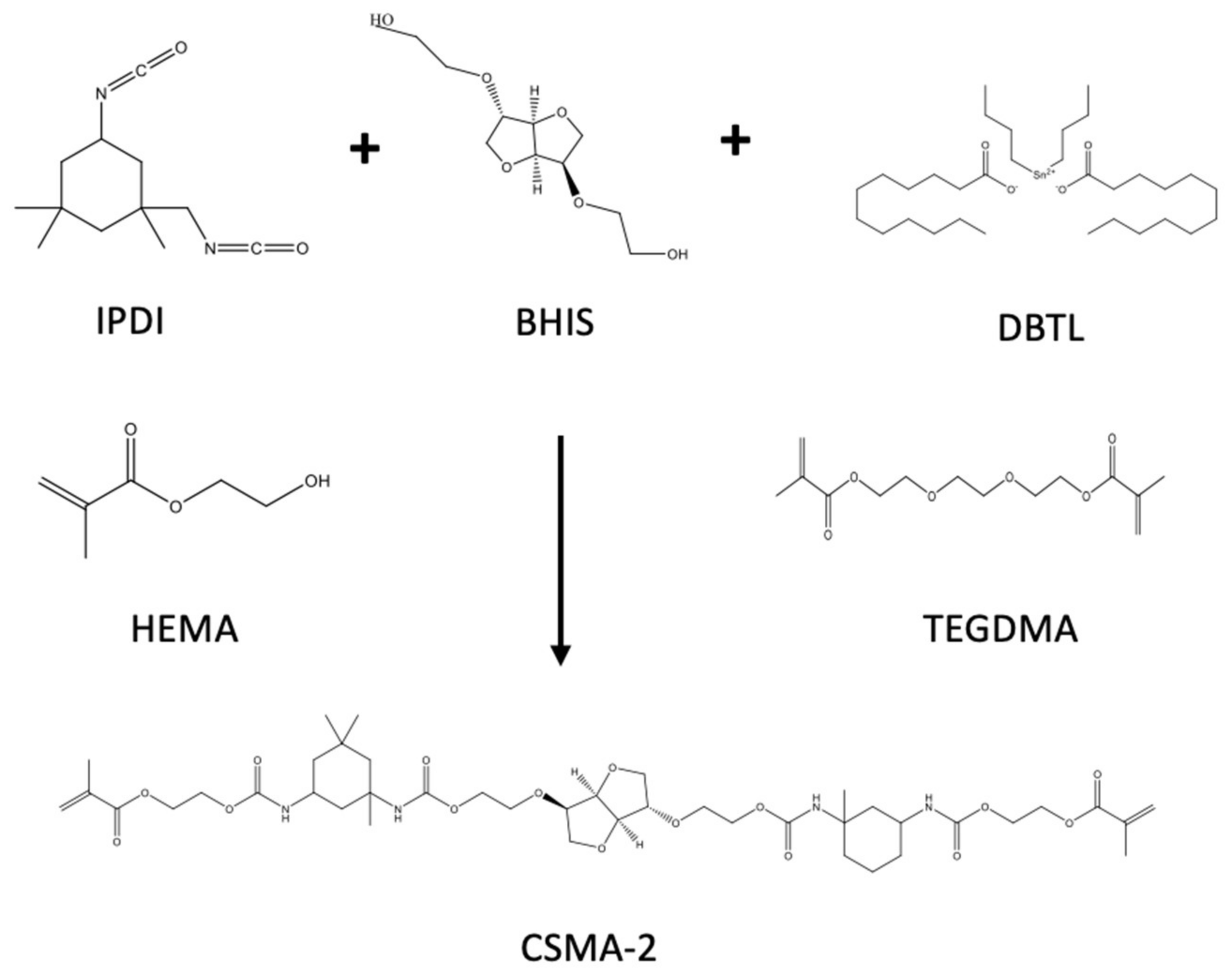 Biomolecules 12 01692 g003 Biomolecules 12 01692 g003