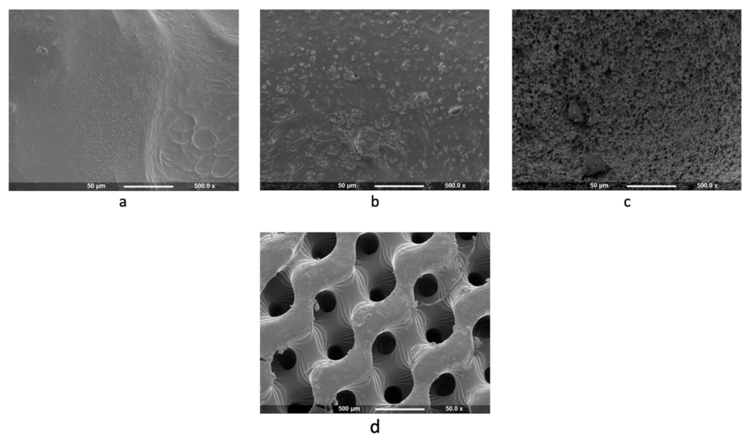Biomolecules 12 01692 g008 Biomolecules 12 01692 g008