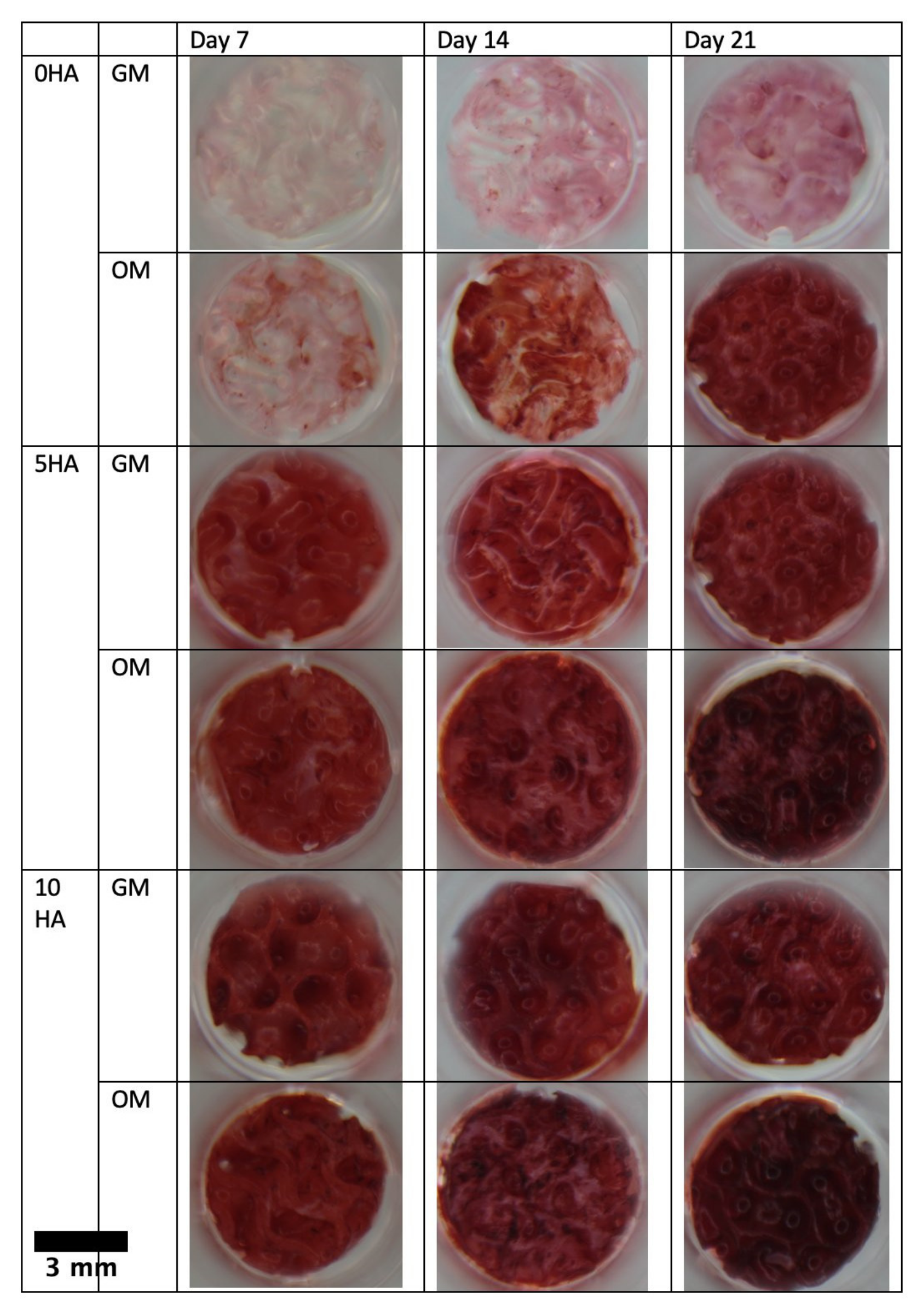 Biomolecules 12 01692 g012 Biomolecules 12 01692 g012